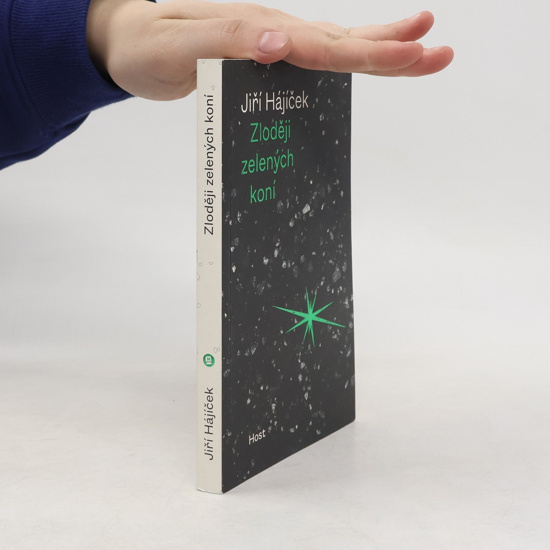 Jiří Hájíček Zloději zelených koní