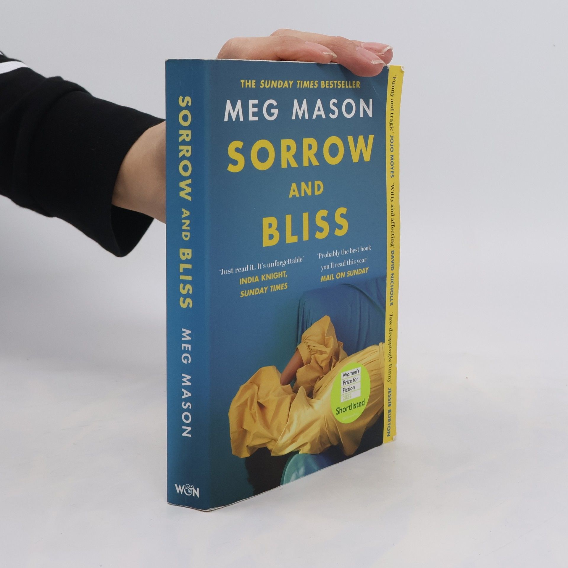 Meg Mason Sorrow and Bliss