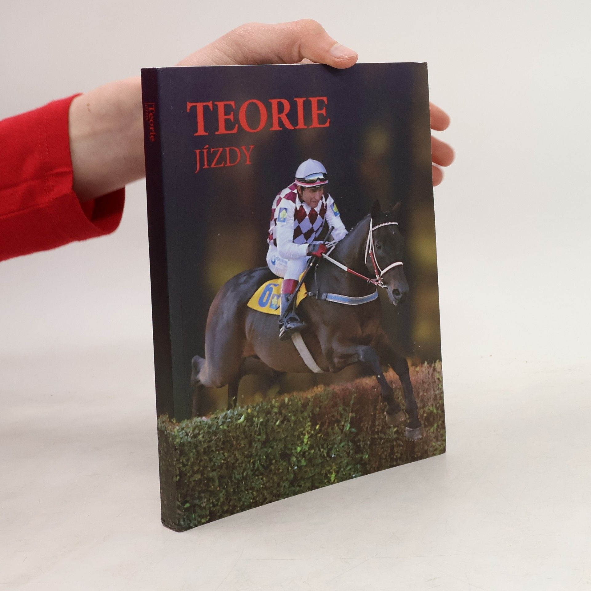 Martina Krejčí Teorie jízdy