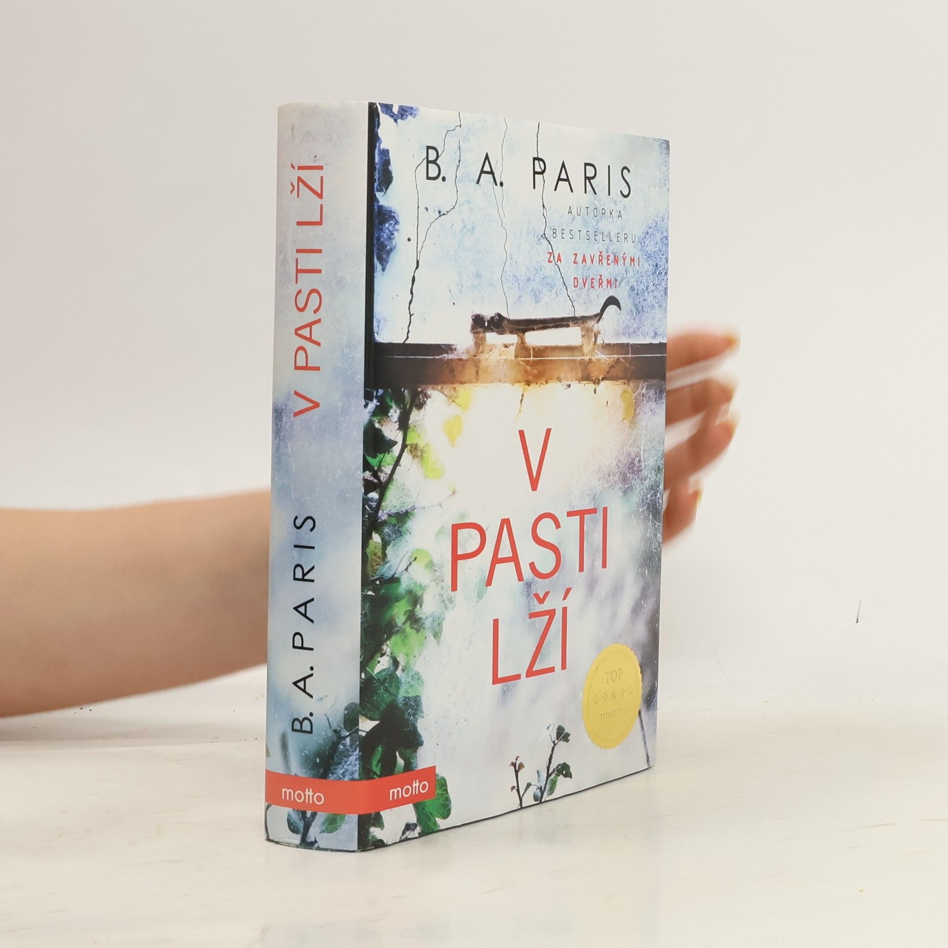 B. A. Paris V pasti lží