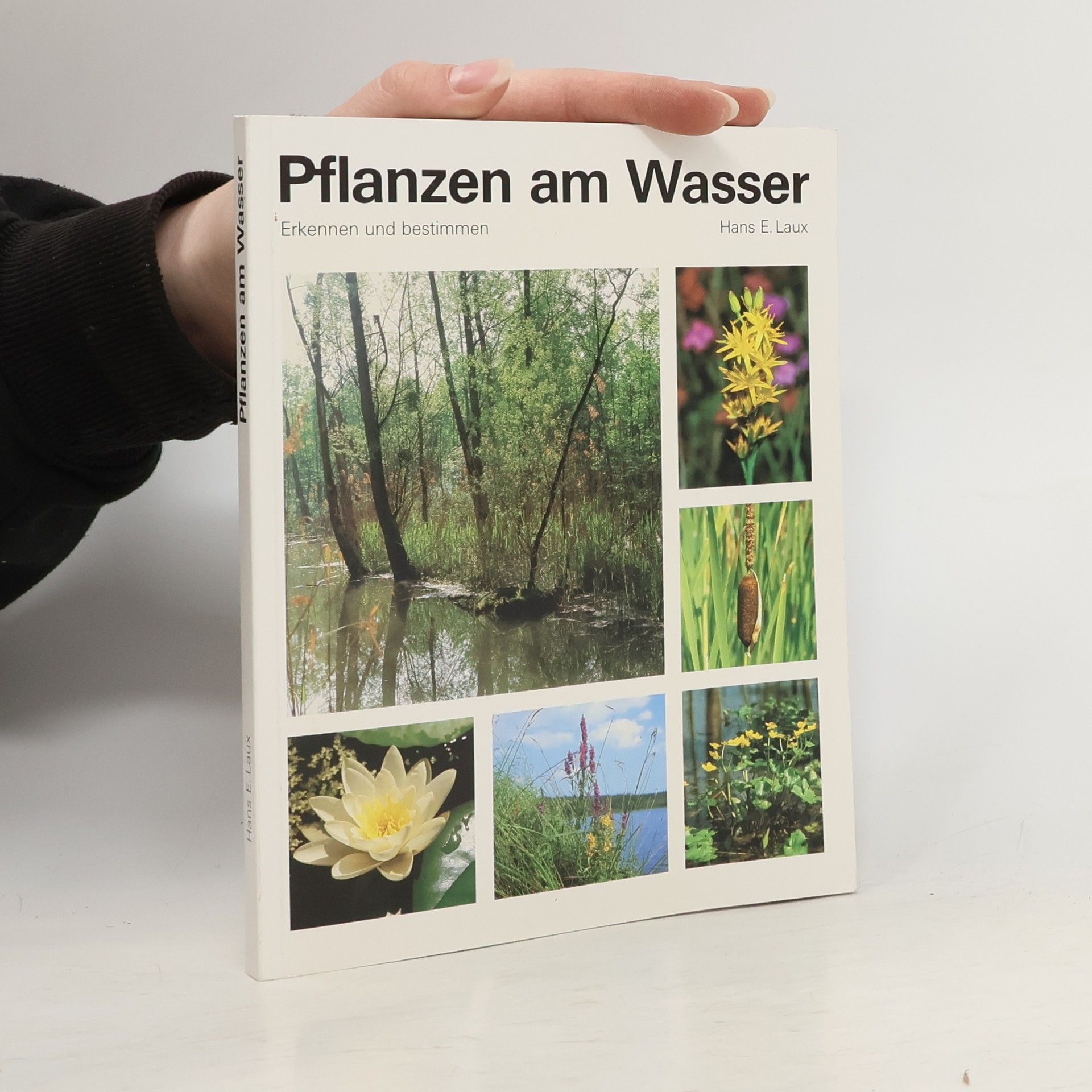 Hans E. Laux Pflanzen am Wasser