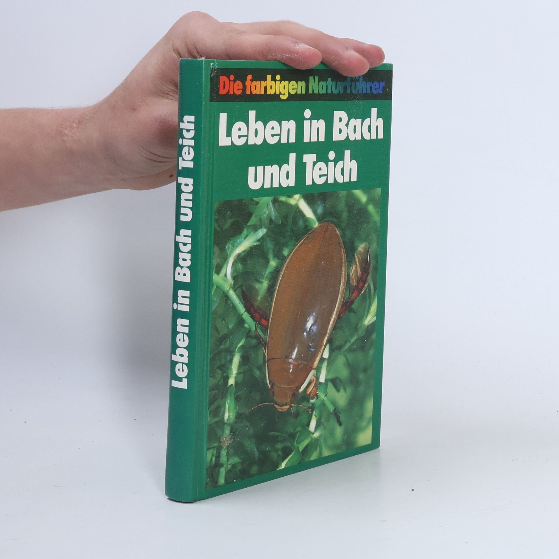 Collectif d'auteurs Leben in Bach und Teich