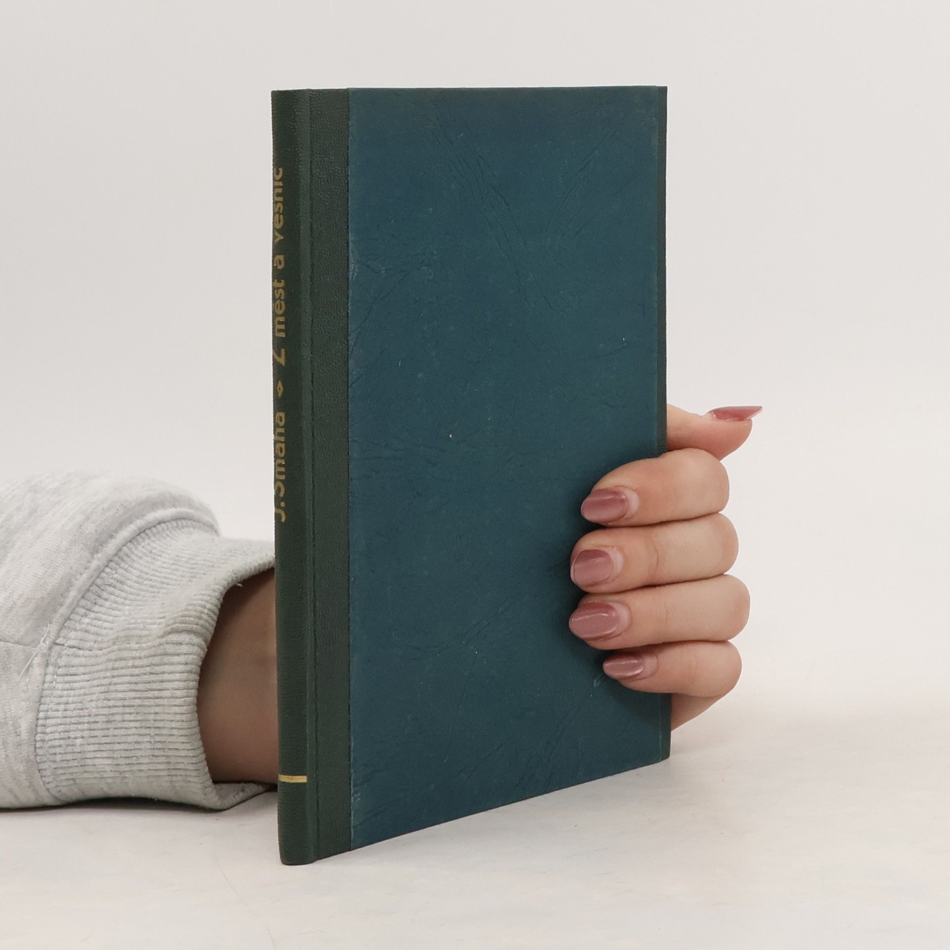 Josef Šmaha Z měst a vesnic