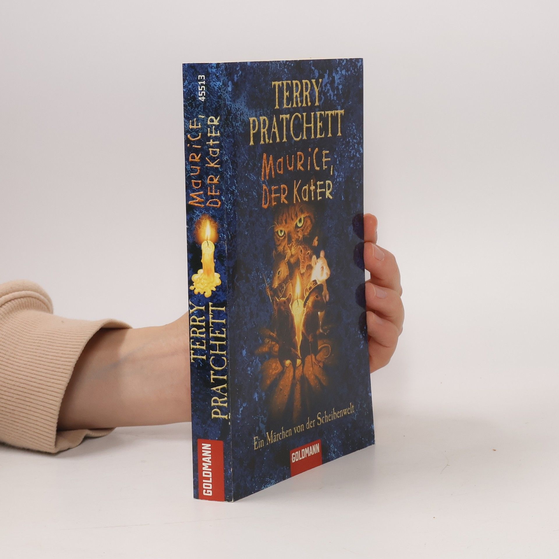 Terry Pratchett Maurice, der Kater