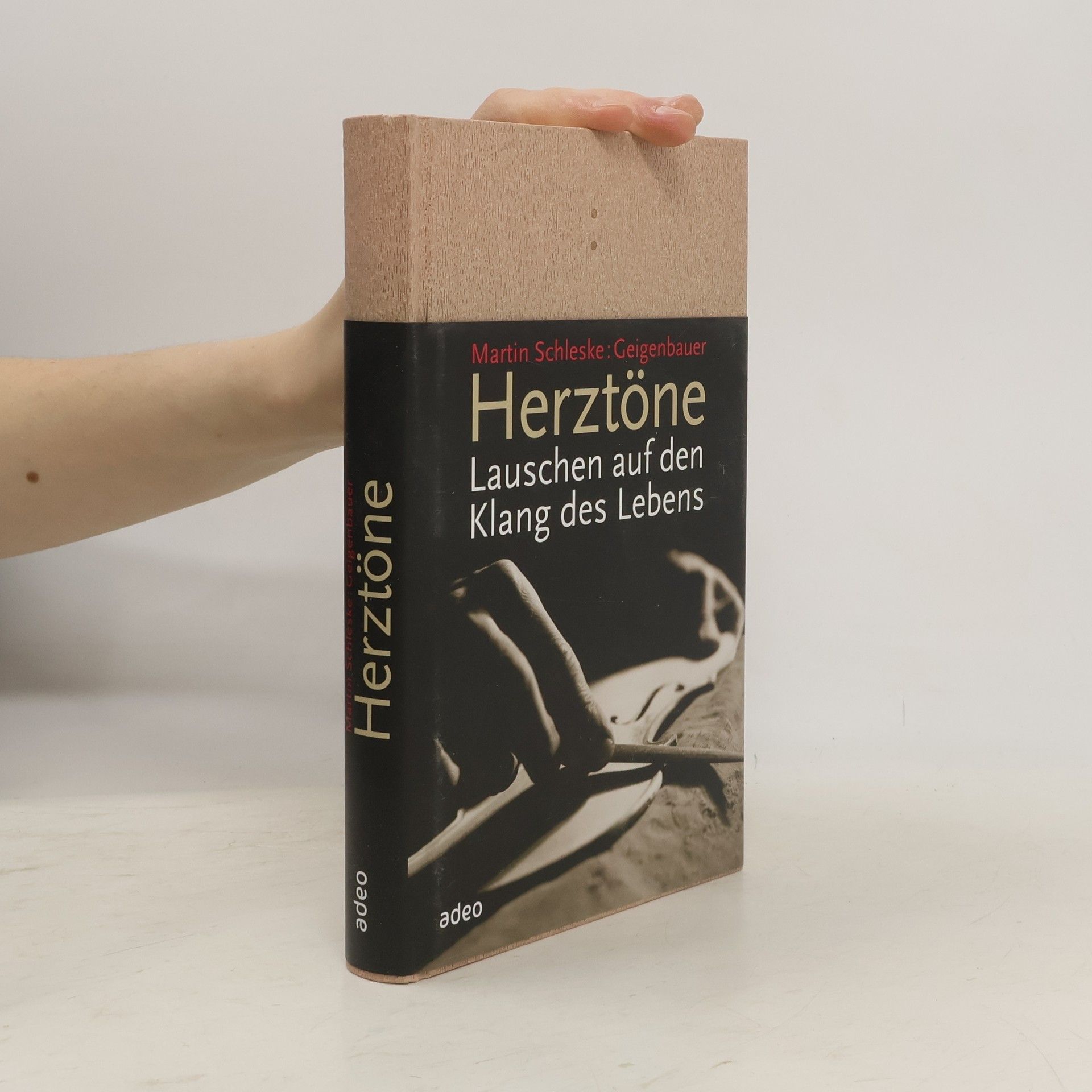 Martin Schleske Herztöne