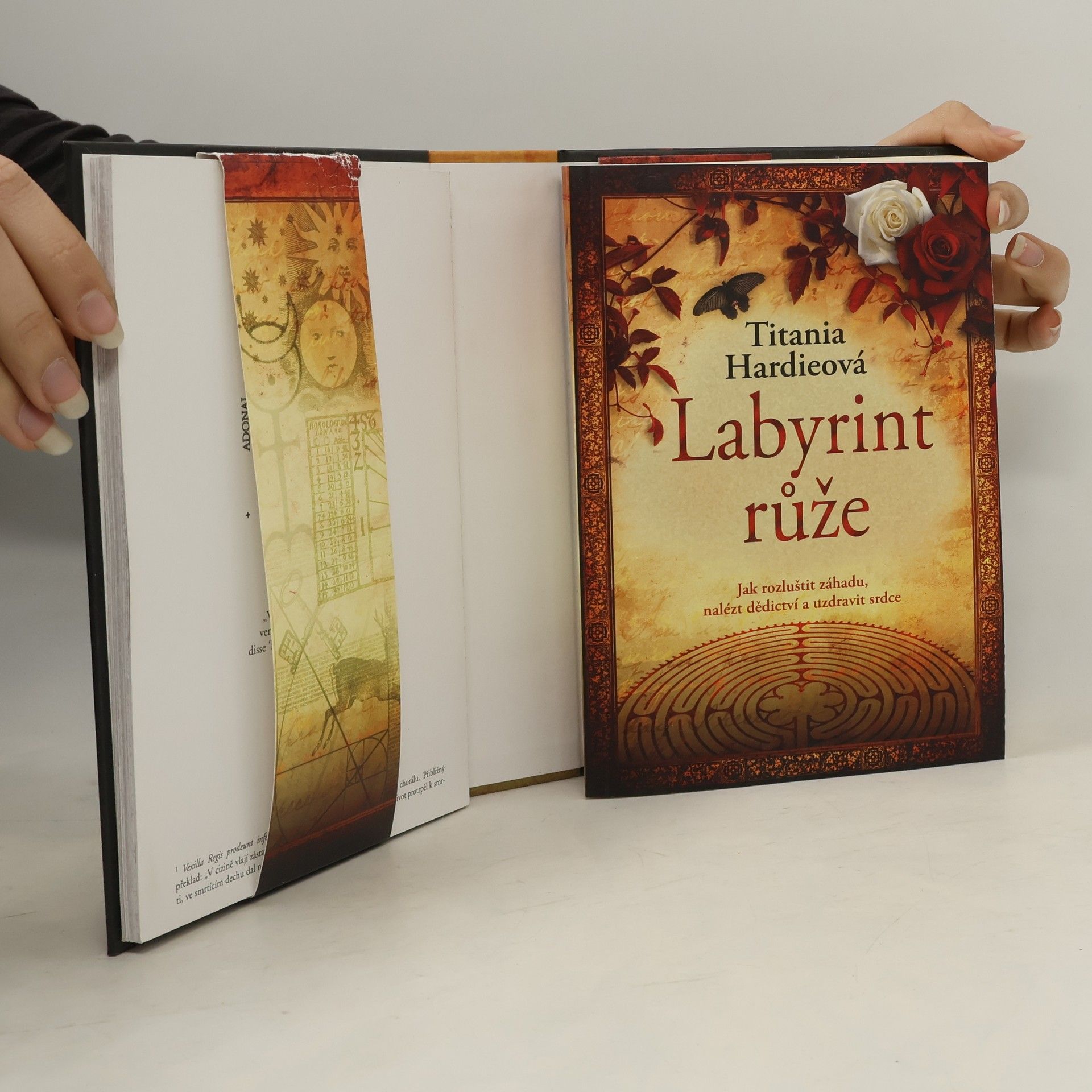 Titania Hardie Labyrint růže