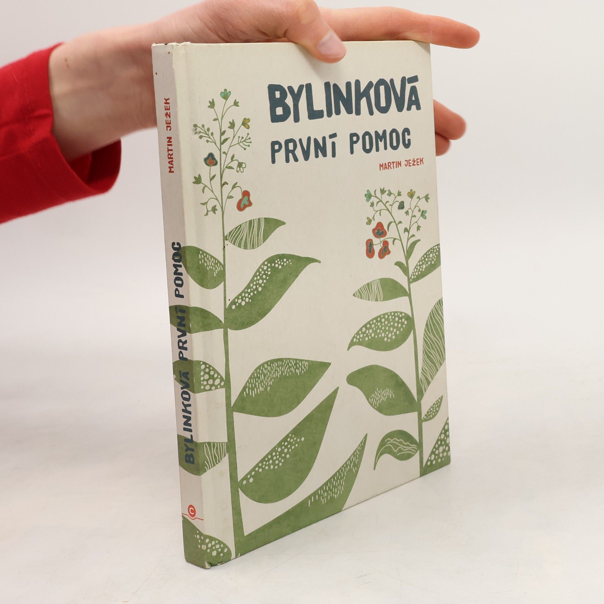 Martin Ježek Bylinková první pomoc