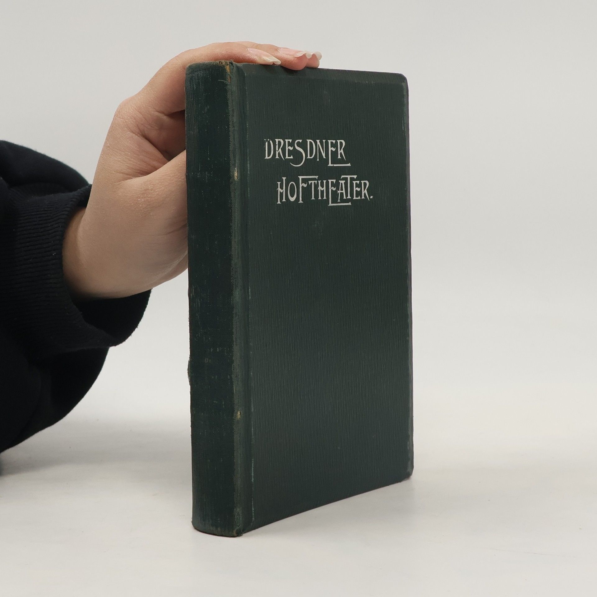 Bodo Wildberg Das Dresdner hoftheater der gegenwart