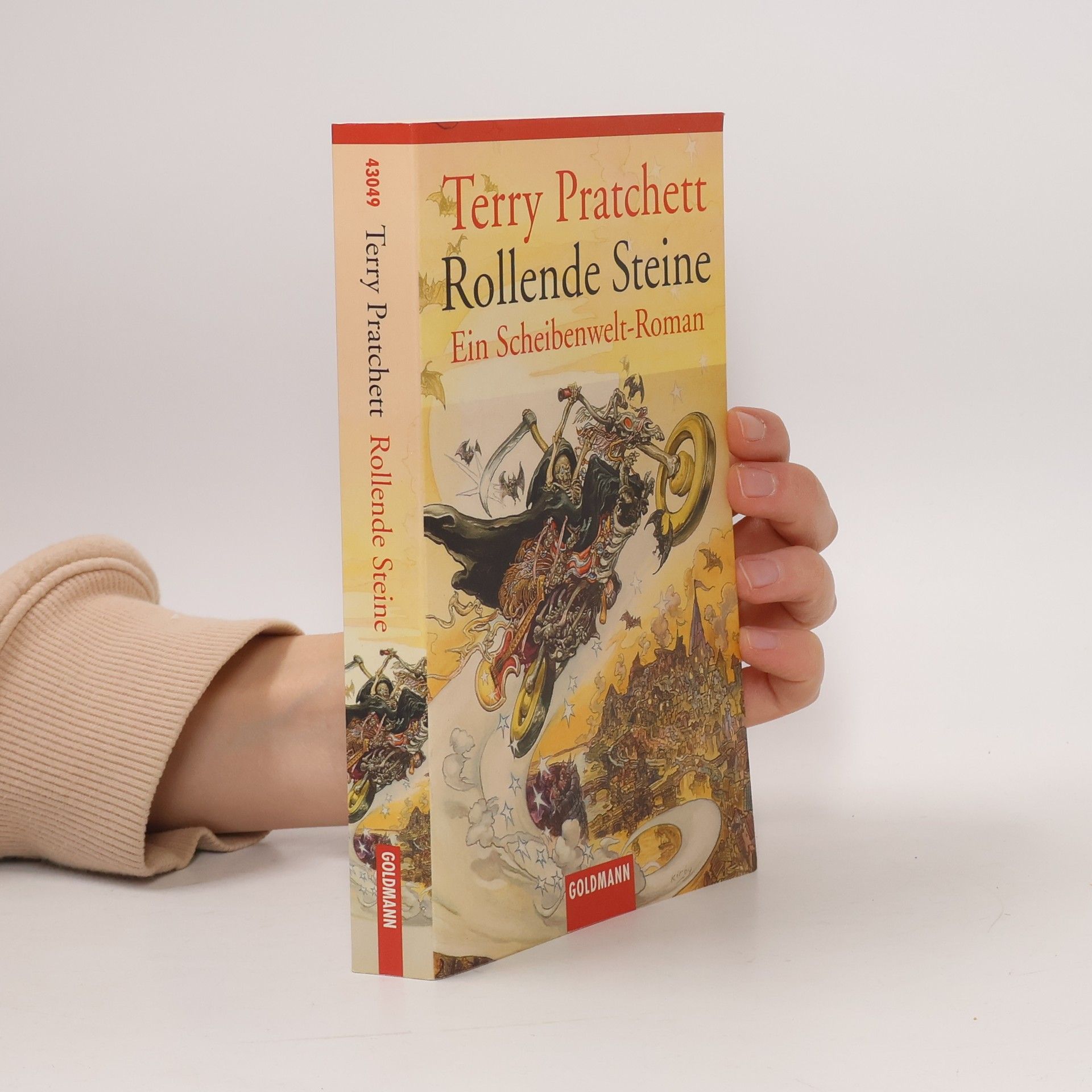 Terry Pratchett Rollende Steine
