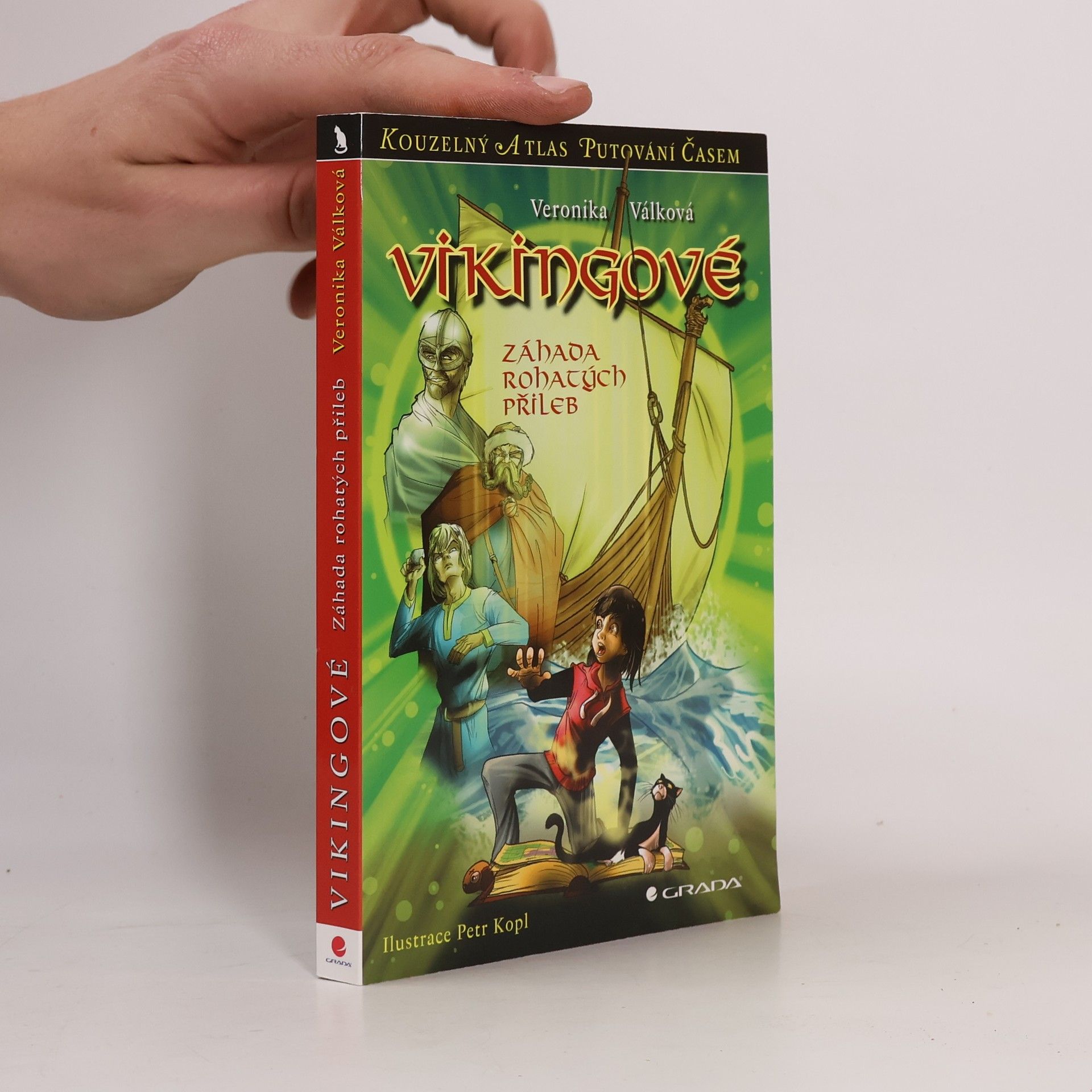 Vikingové : záhada rohatých přileb