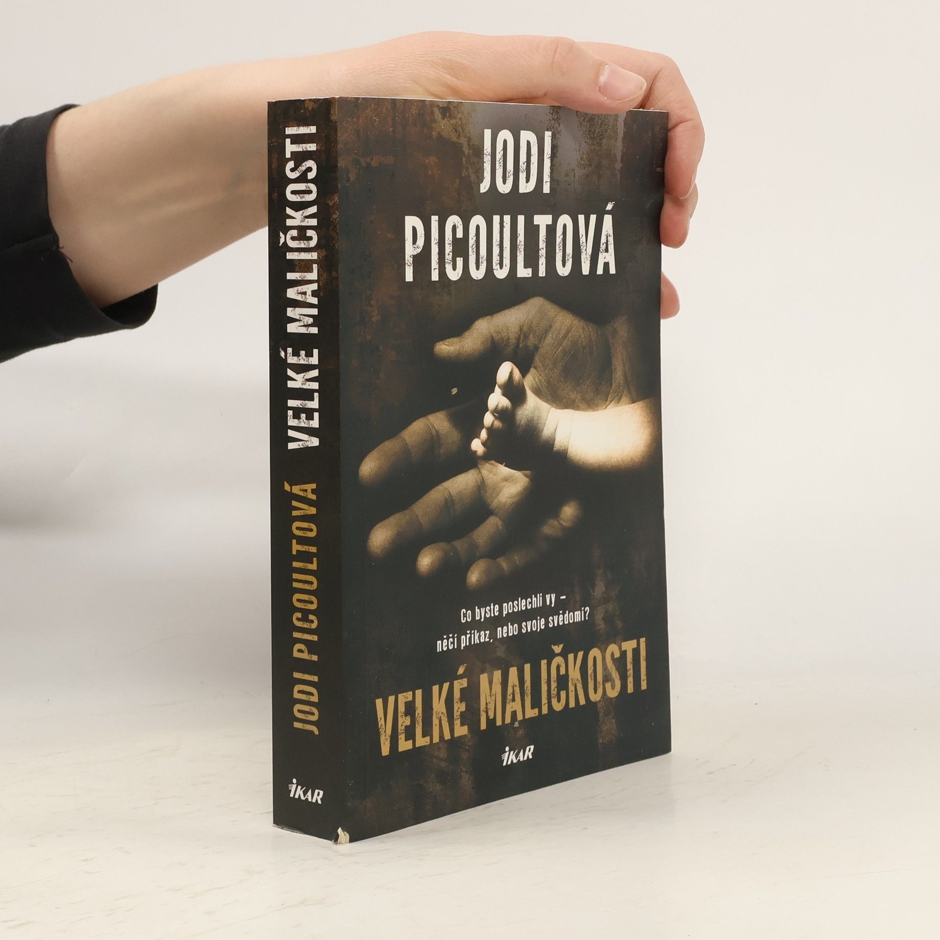 Jodi Picoult Velké maličkosti