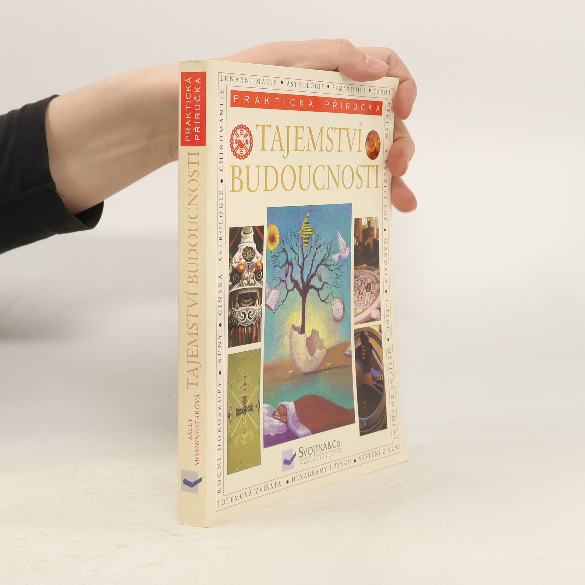 Sally Morningstar Tajemství budoucnosti