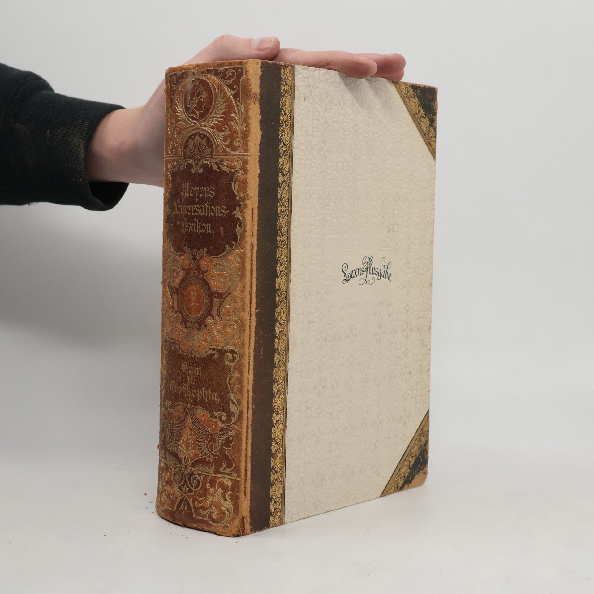 Autorenkollektiv Meyers Konversations-Lexikon. Siebenter Band