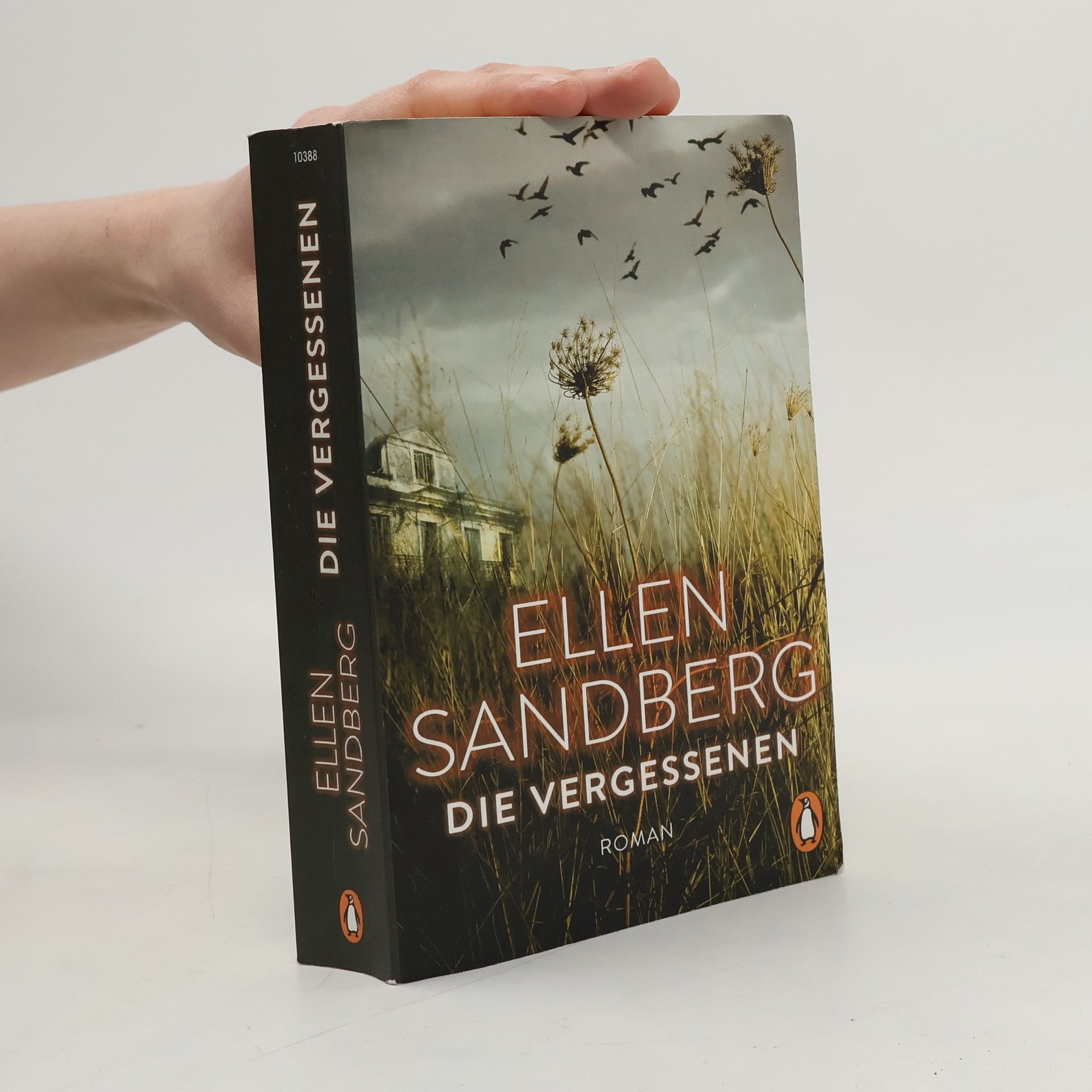 Ellen Sandberg Die Vergessenen