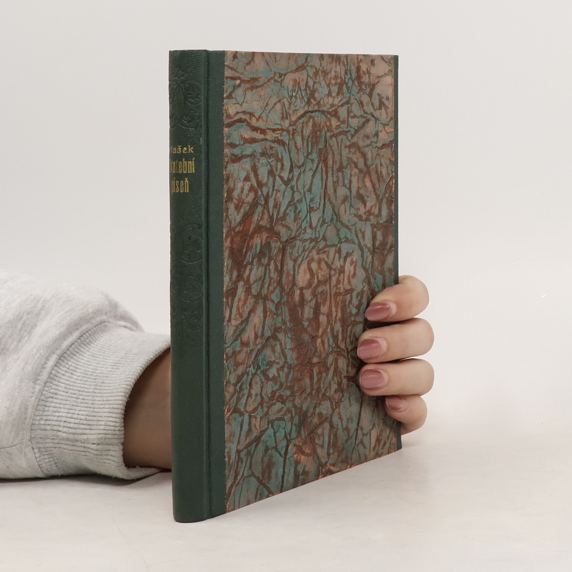 Hašek Roman Svatební píseň