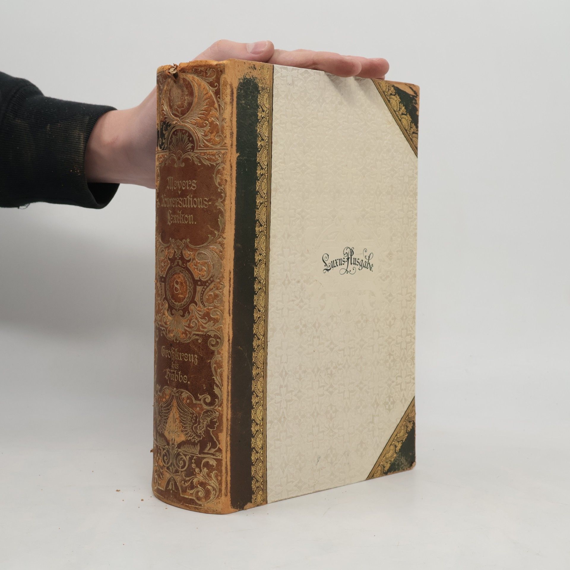 Autorenkollektiv Meyers Konversations Lexikon 8