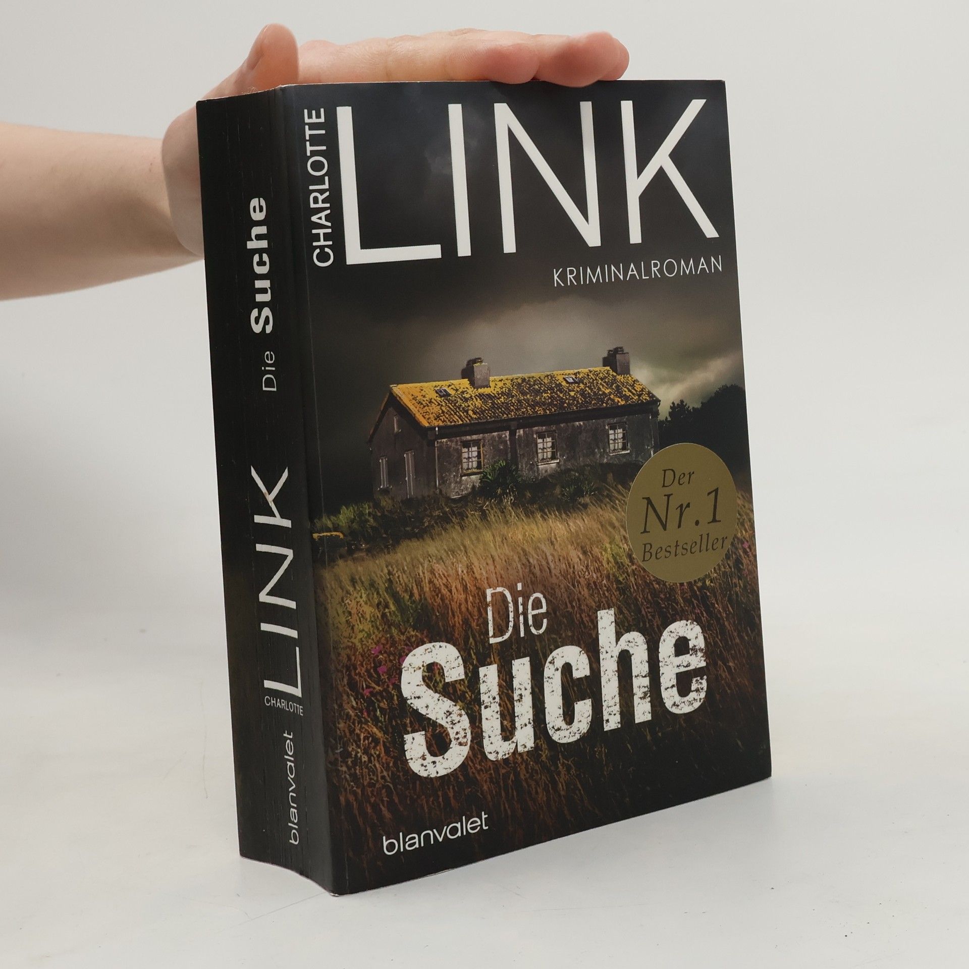 Charlotte Link Die Suche