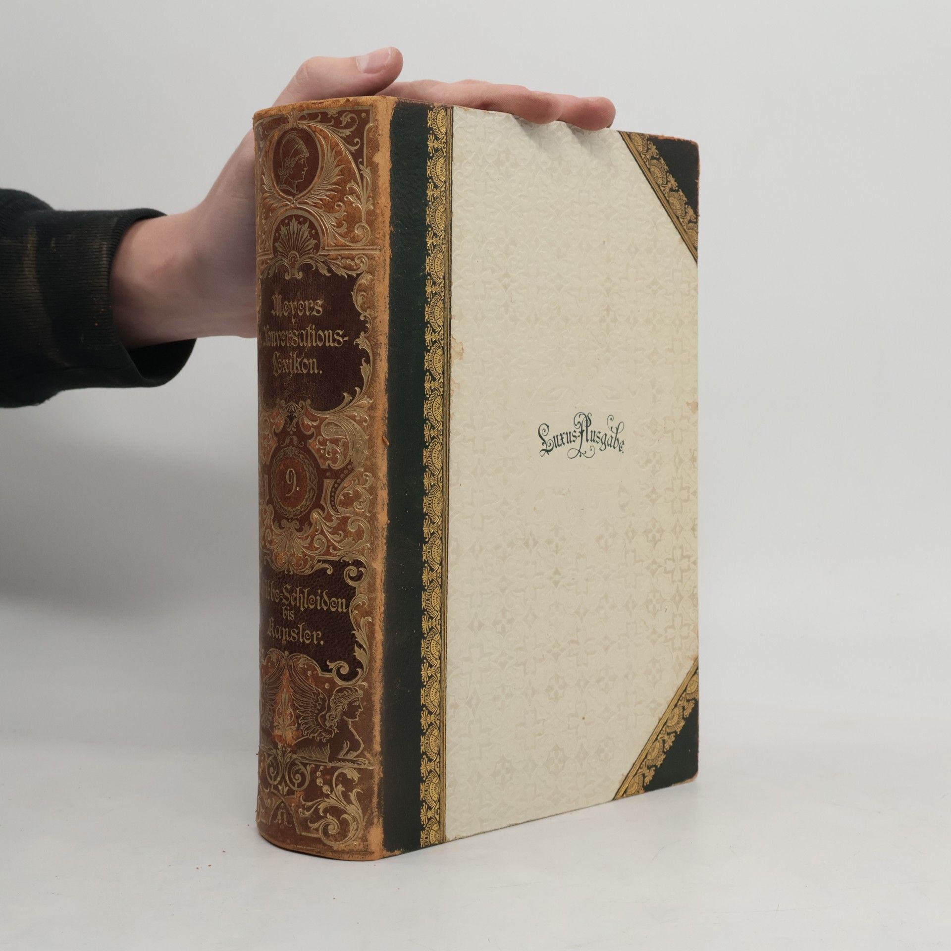 Kolektiv autorů Meyers Konversations-Lexikon 9