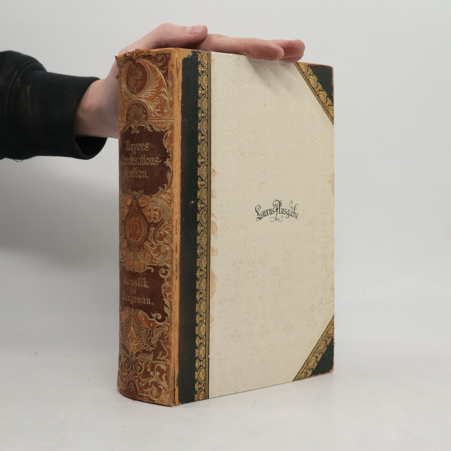 Autorenkollektiv Meyers Konversations-Lexikon. Zehnter Band