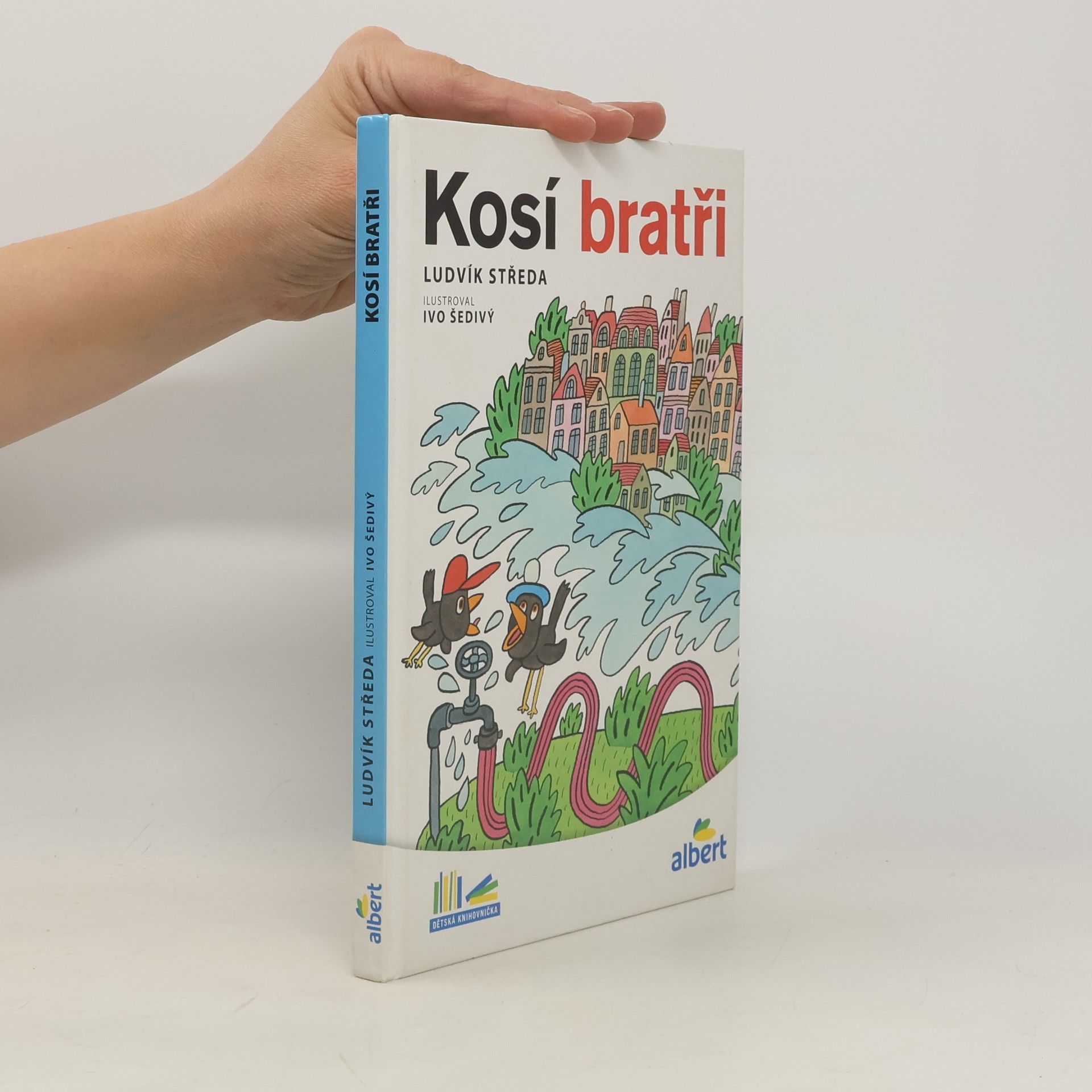 Ludvík Středa Kosí bratři