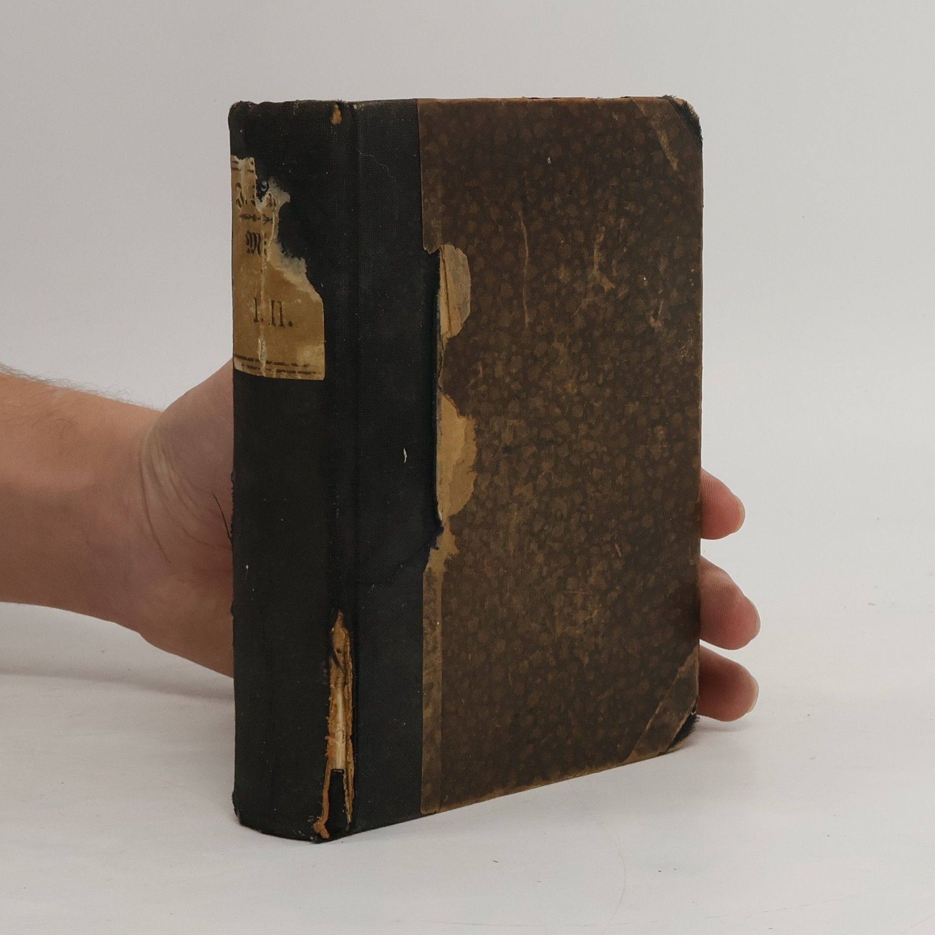 Johannes Scherr Michel I.