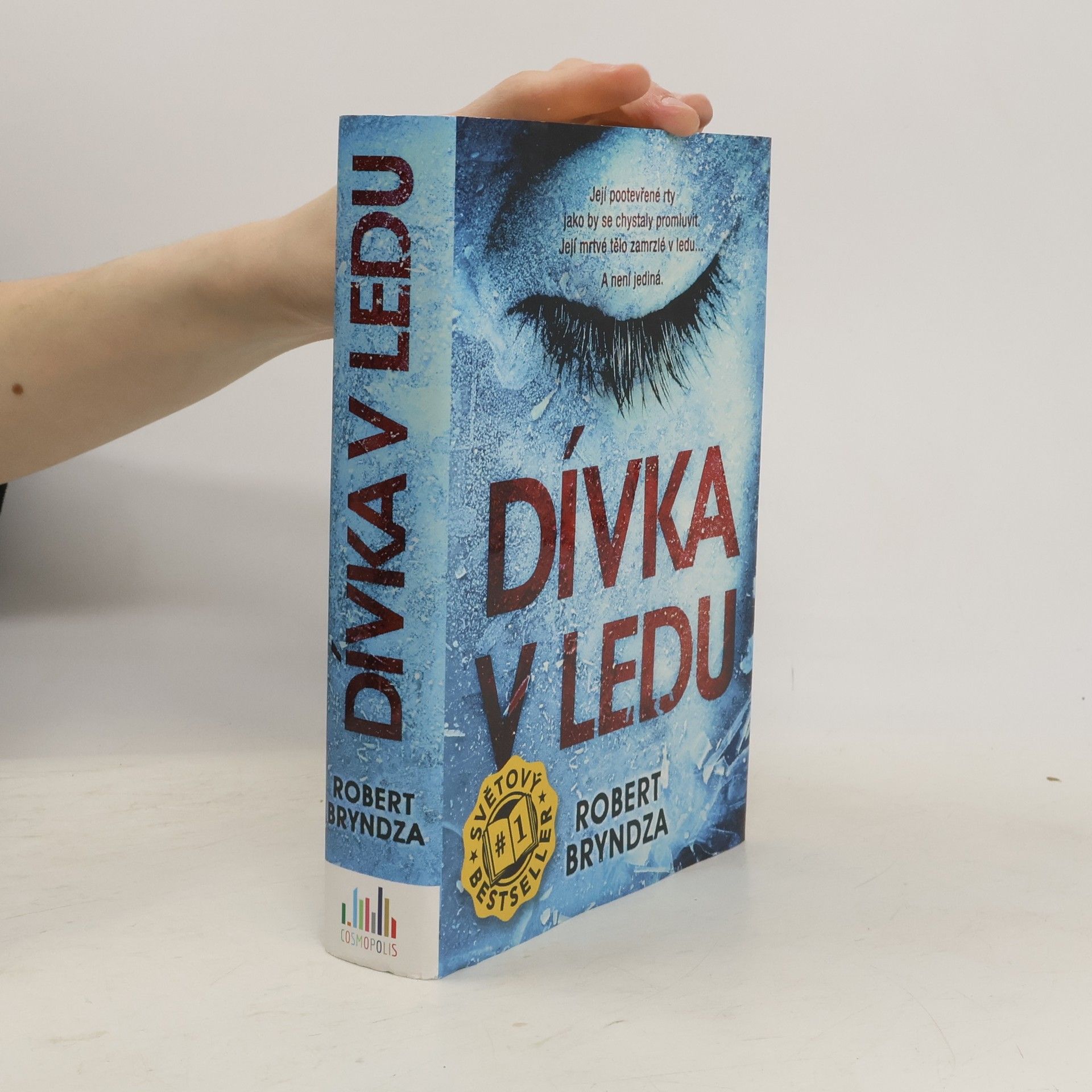 Robert Bryndza Dívka v ledu