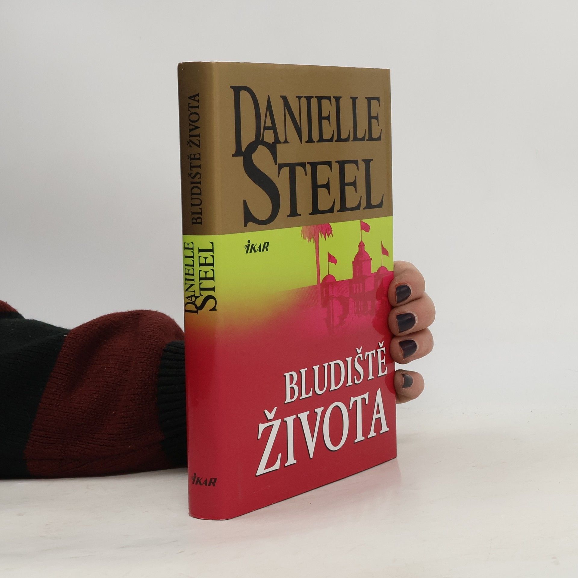 Danielle Steel Bludiště života