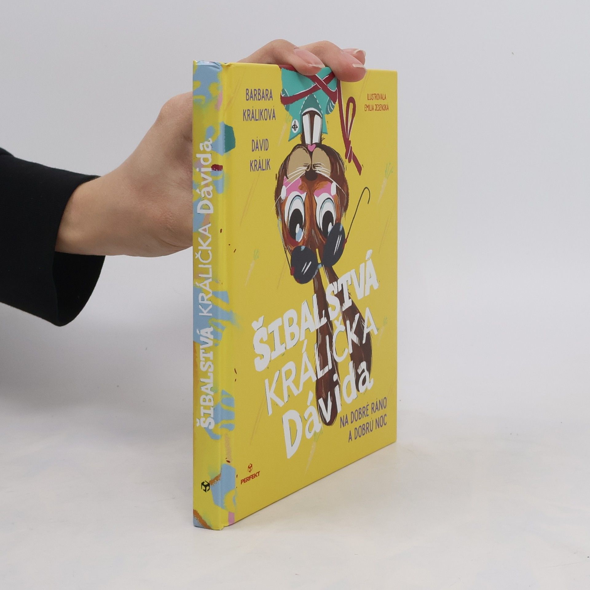 Barbara Králiková Šibalstvá králička Dávida - Na dobré ráno a dobrú noc
