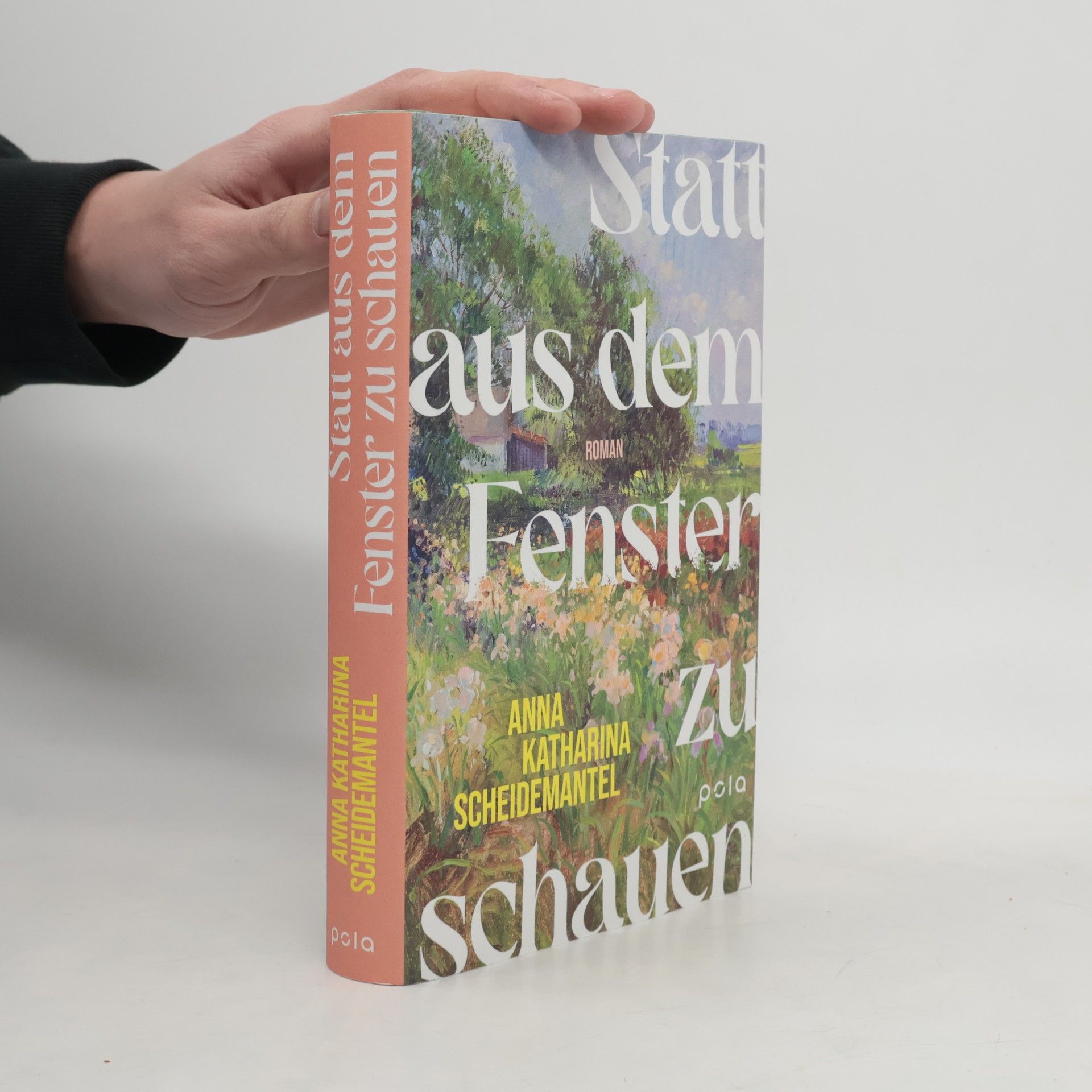 Anna Katharina Scheidemantel Statt aus dem Fenster zu schauen