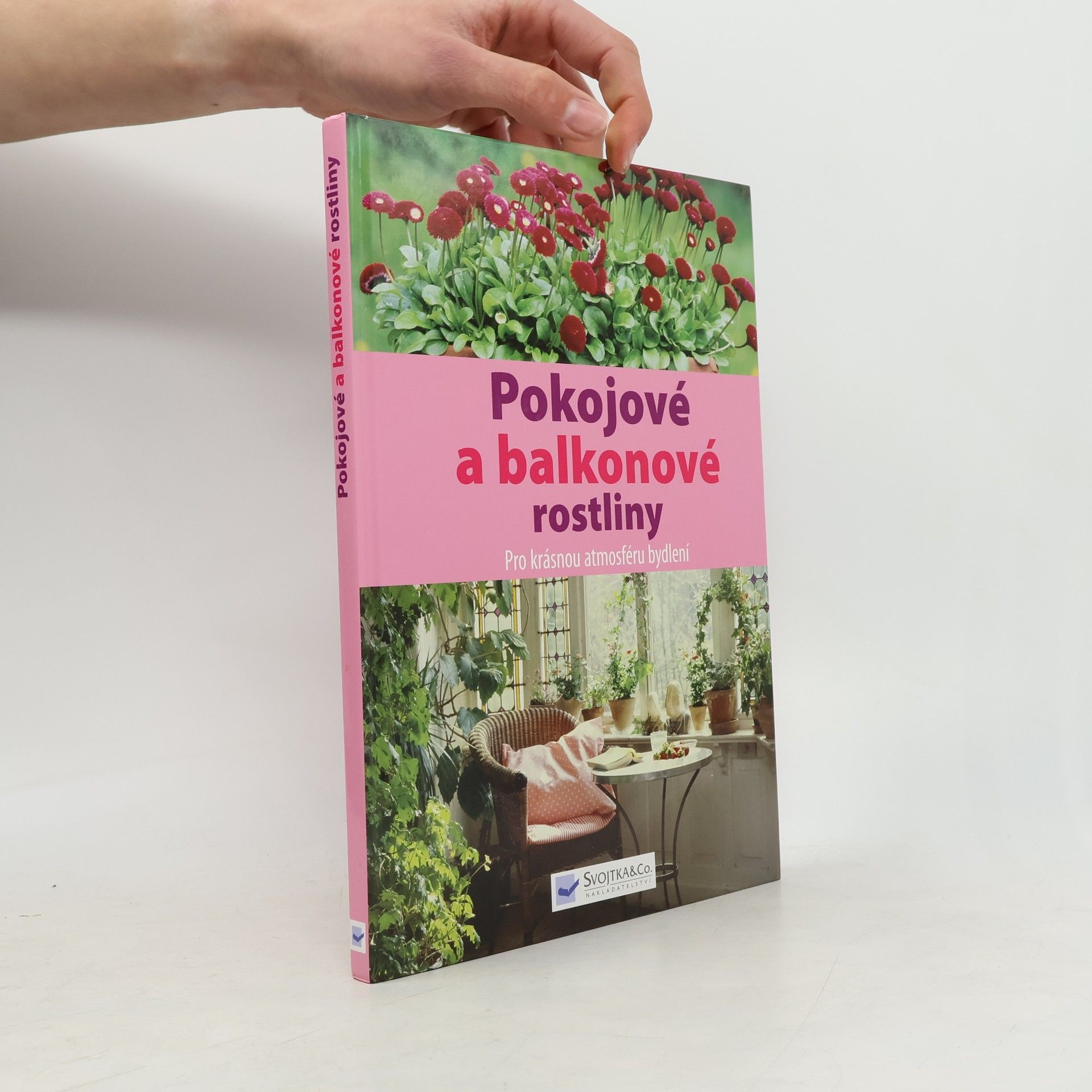 Various authors Pokojové a balkonové rostliny