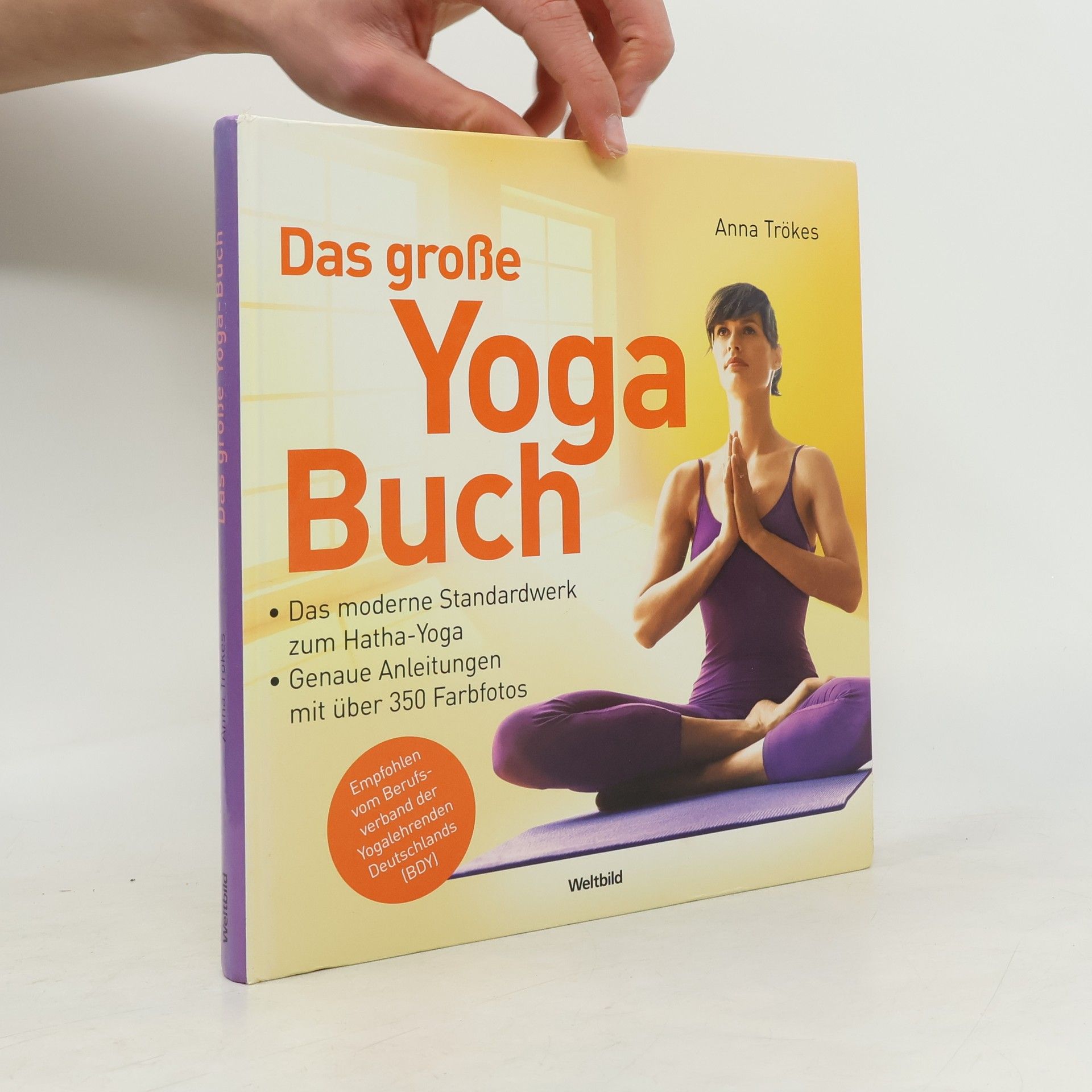 Anna Trökes Das große Yogabuch