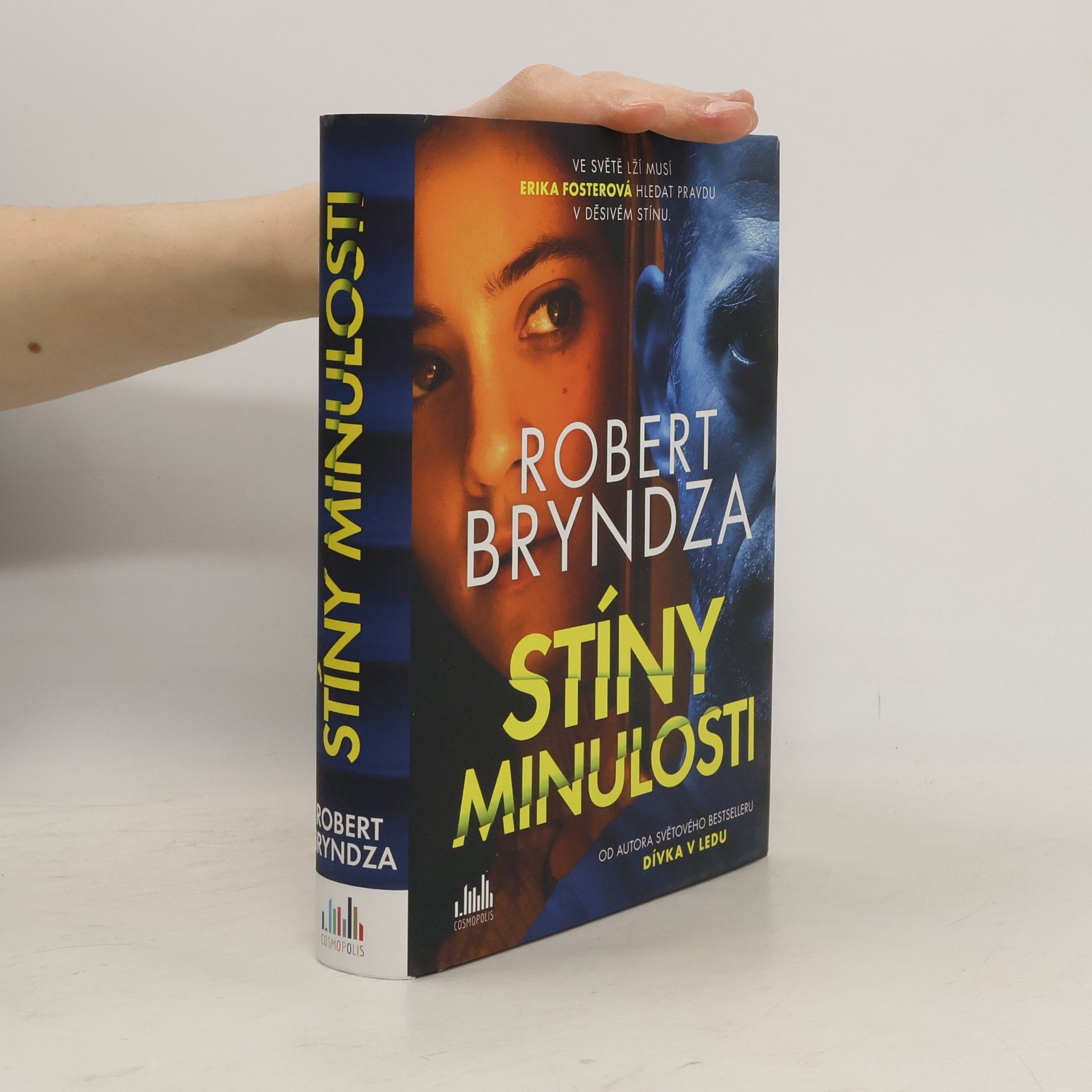 Robert Bryndza Stíny minulosti