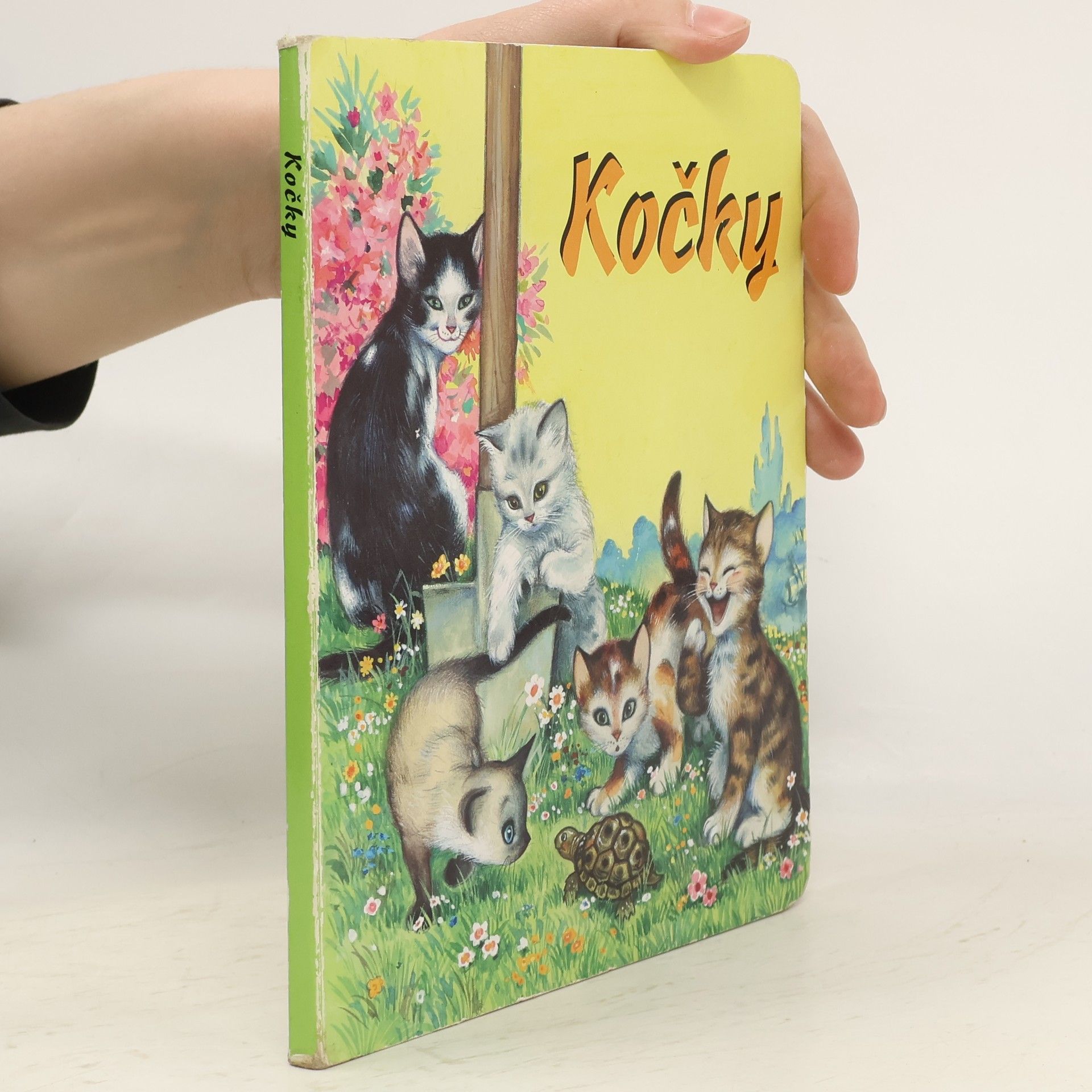 Autorenkollektiv Kočky