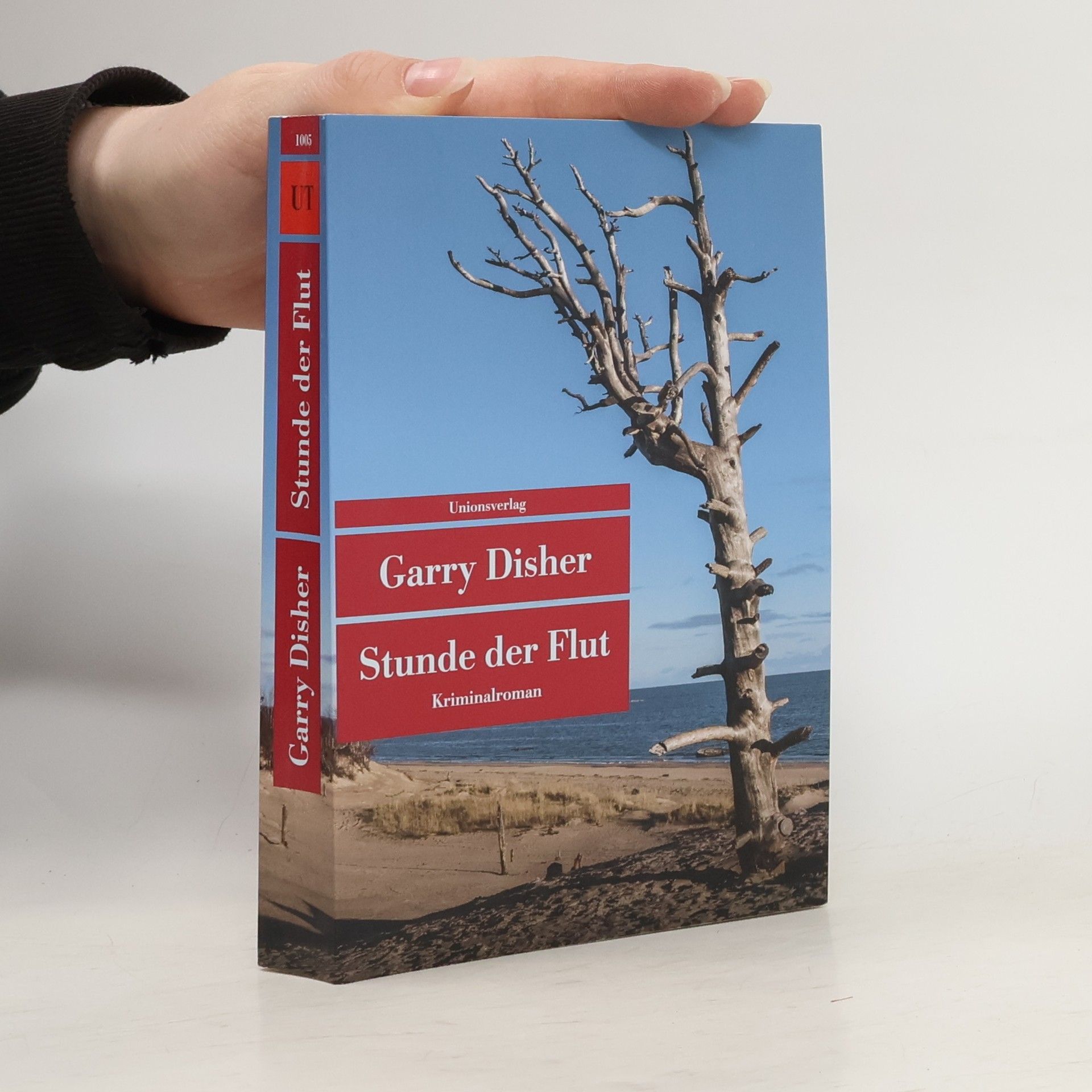 Garry Disher Stunde der Flut