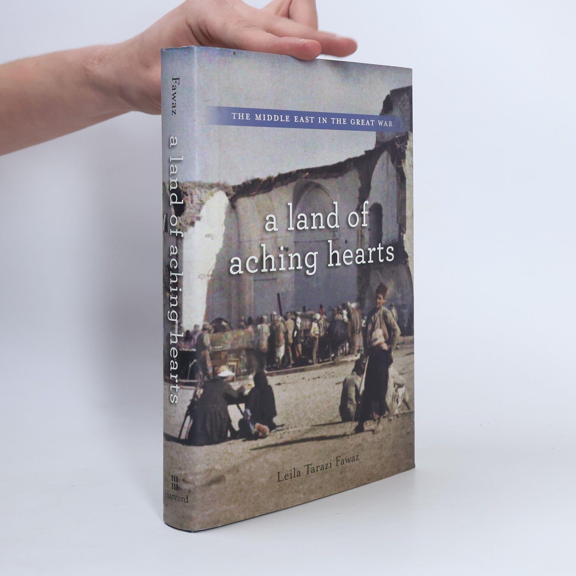 Leila Tarazi Fawaz A Land of Aching Hearts