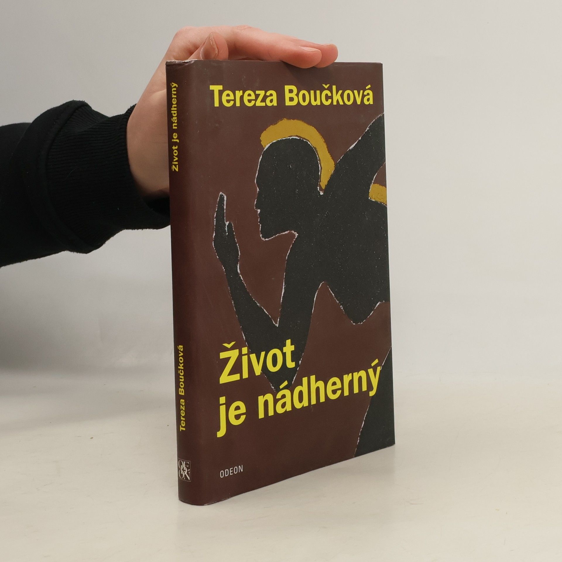 Tereza Boučková Život je nádherný