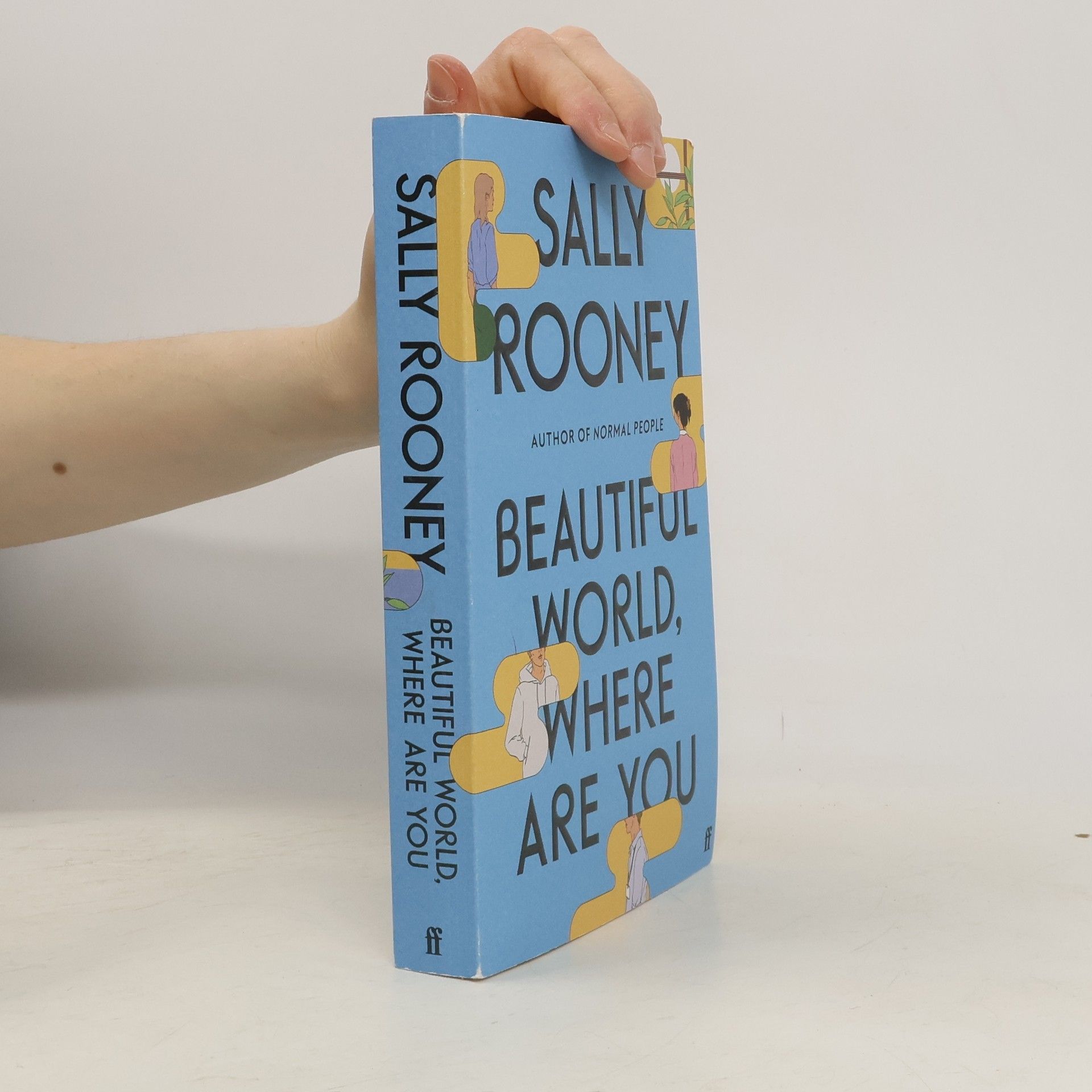 Sally Rooneyová Beautiful World, Where Are You