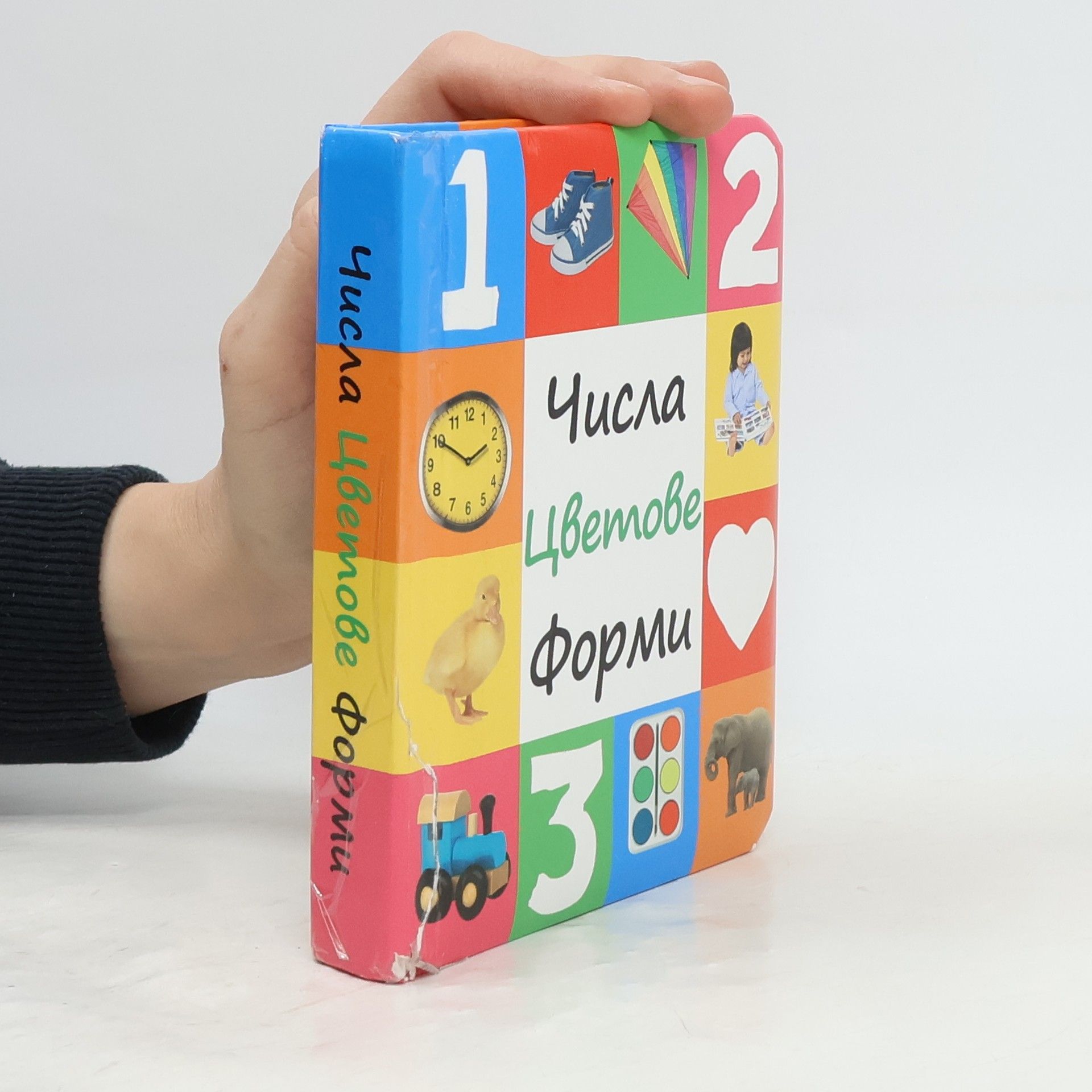 Autorenkollektiv Числа Цветове Форми