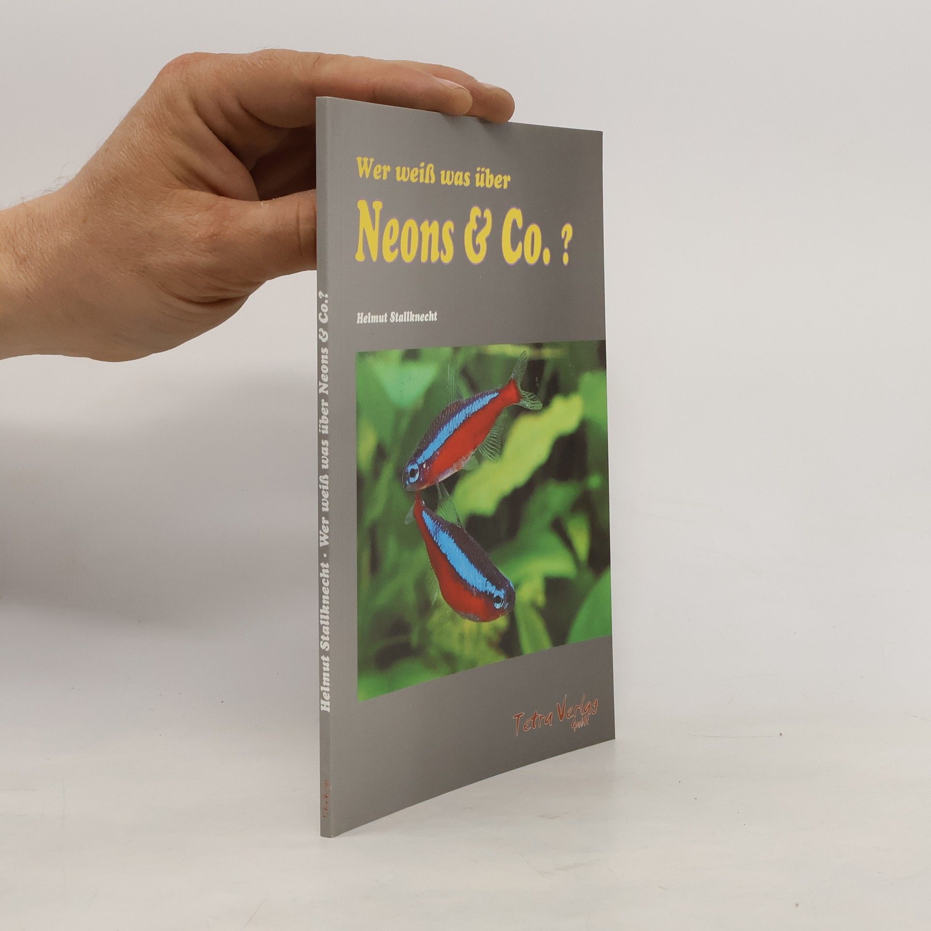 Helmut Stallknecht Wer weiß was über Neons & Co.?