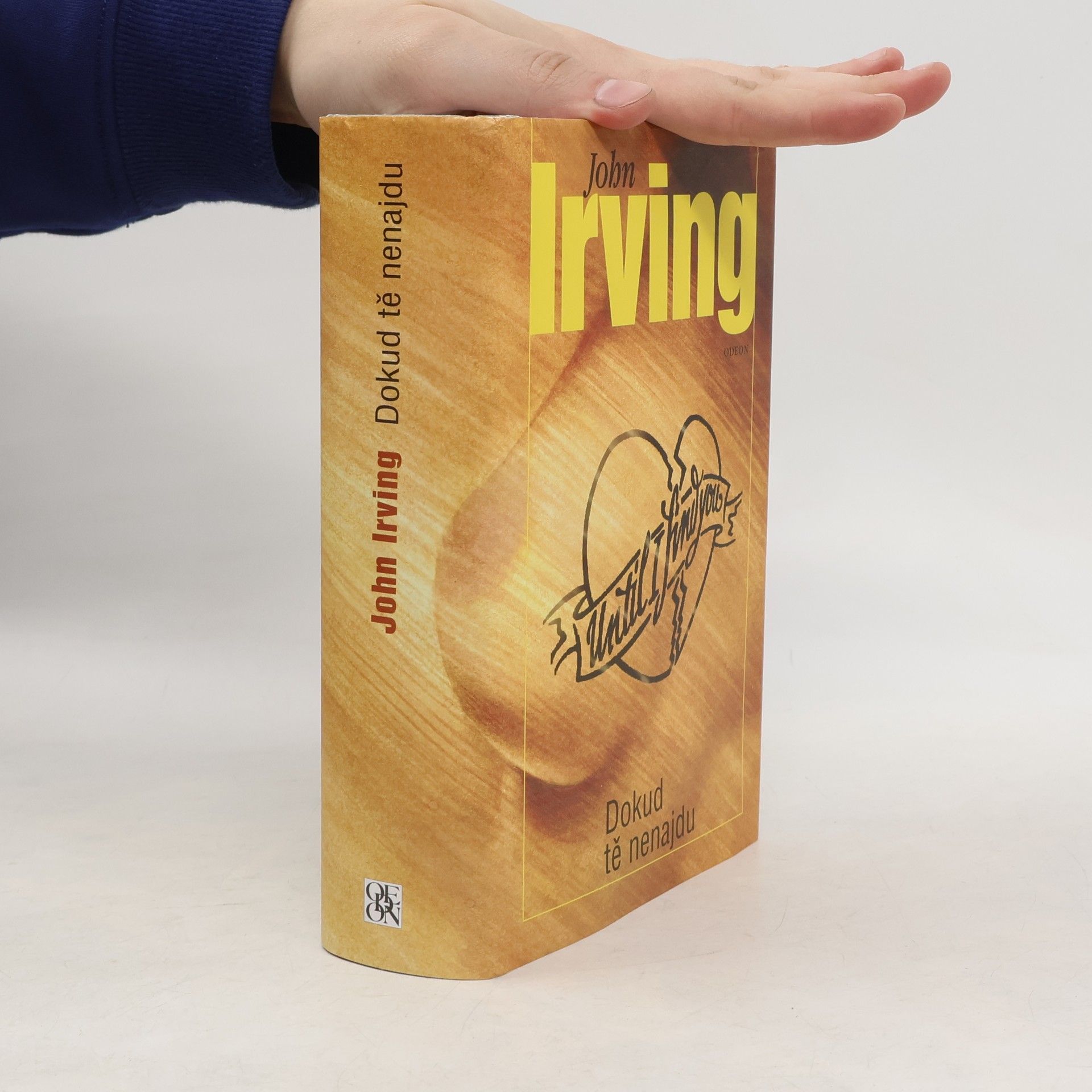 John Irving Dokud tě nenajdu