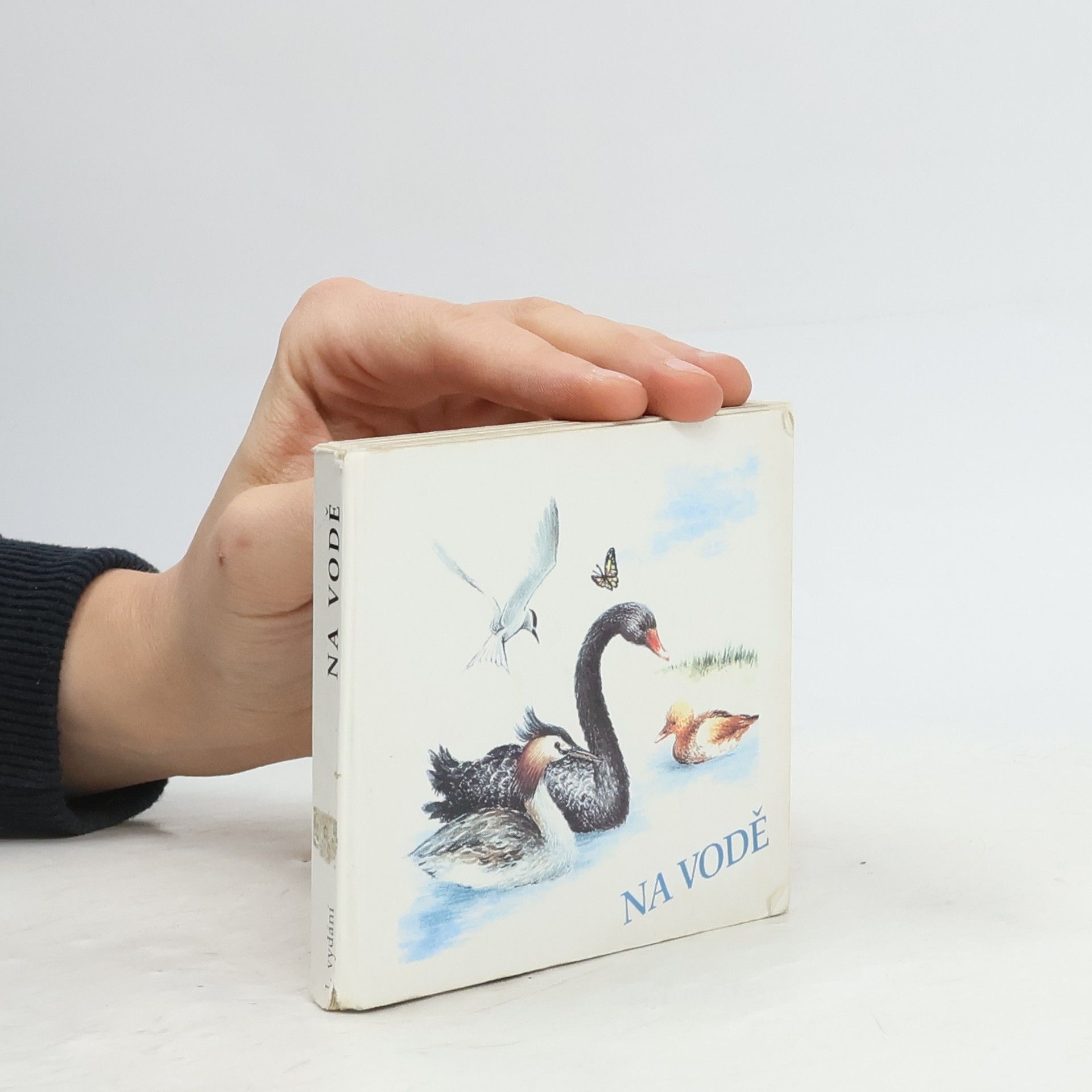 Autorenkollektiv Na vodě