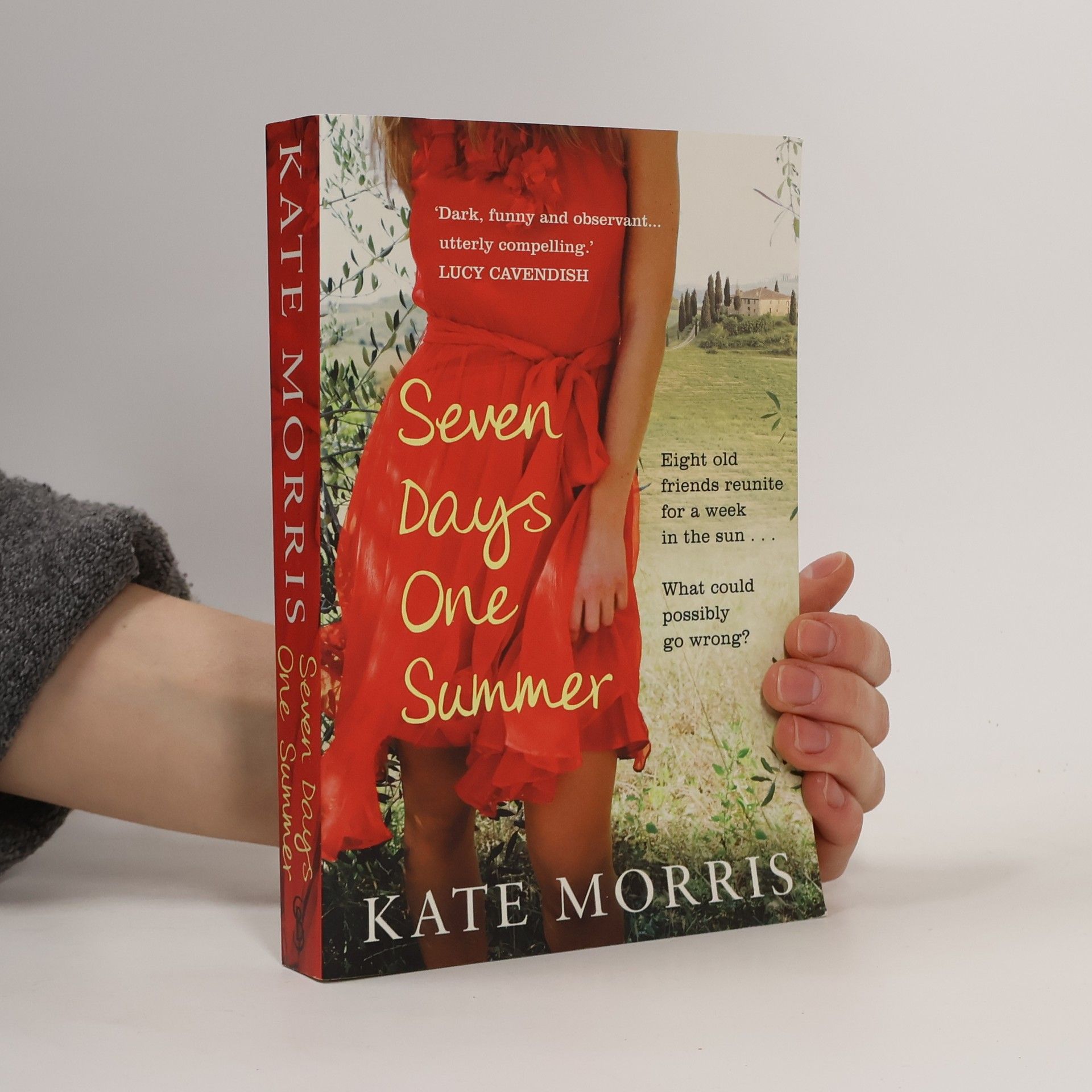 Seven Days One Summer