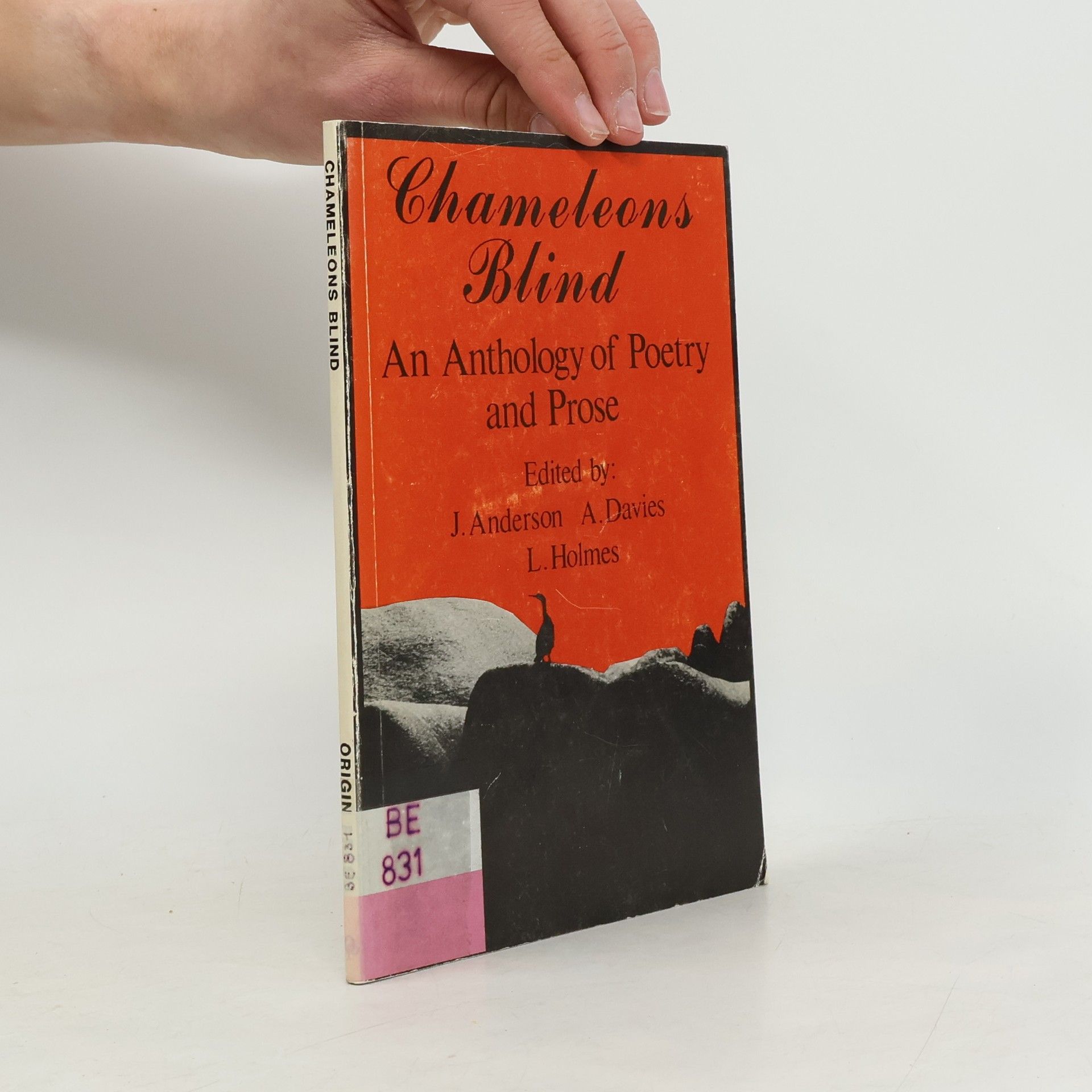 Joanna Anderson Chameleons Blind