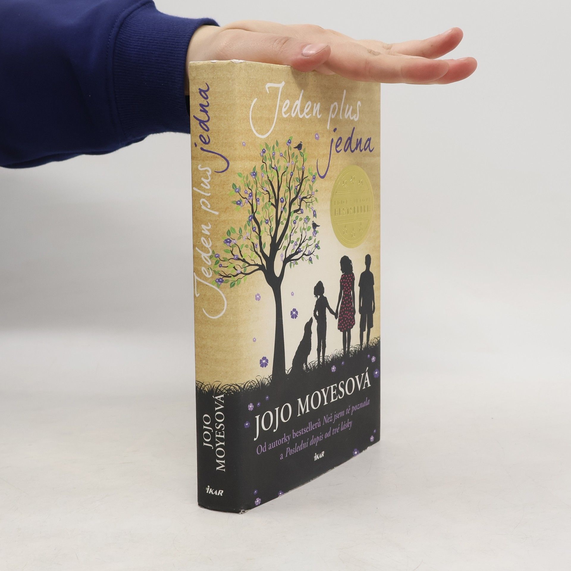 Jojo Moyes Jeden plus jedna