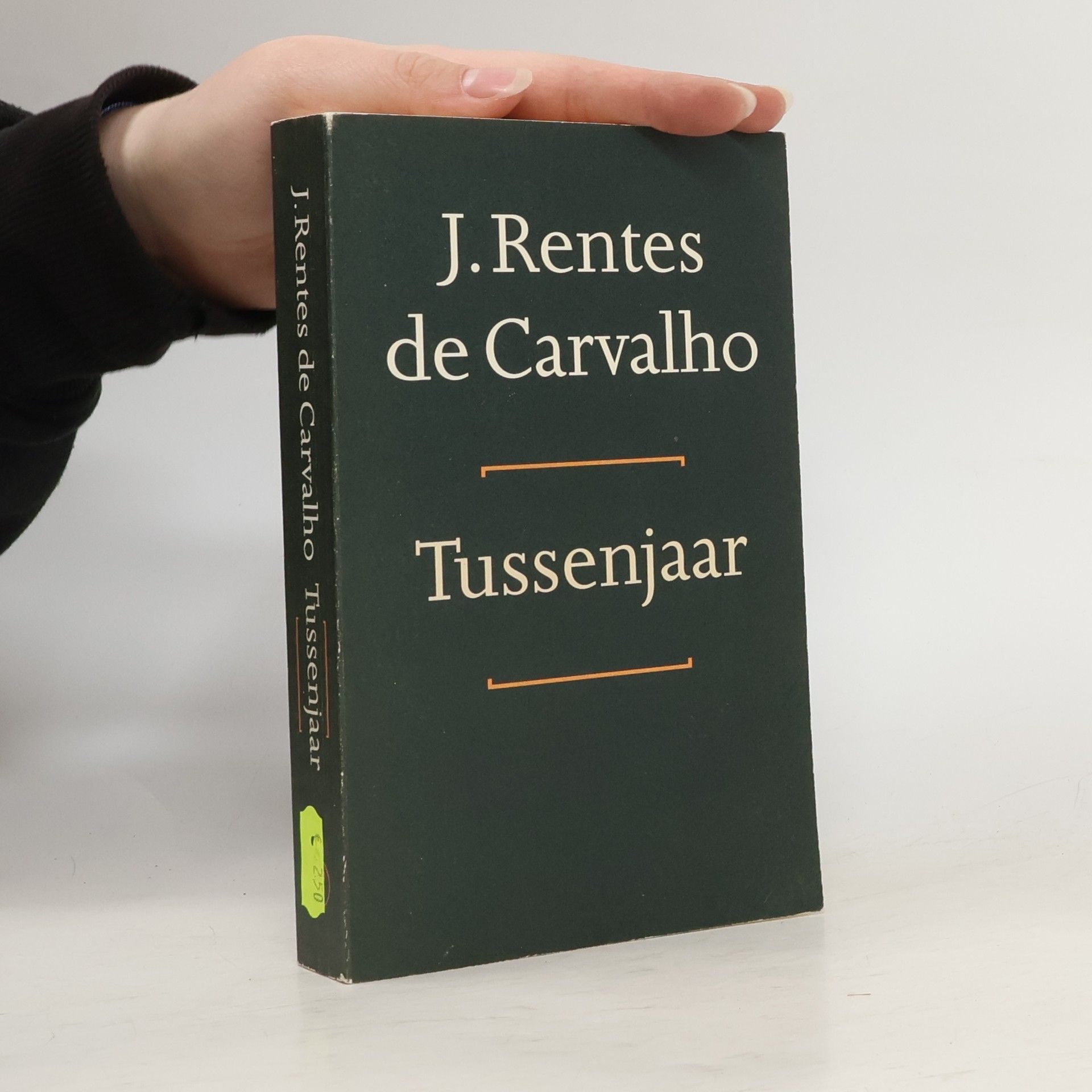 J. Rentes de Carvalho Tussenjaar
