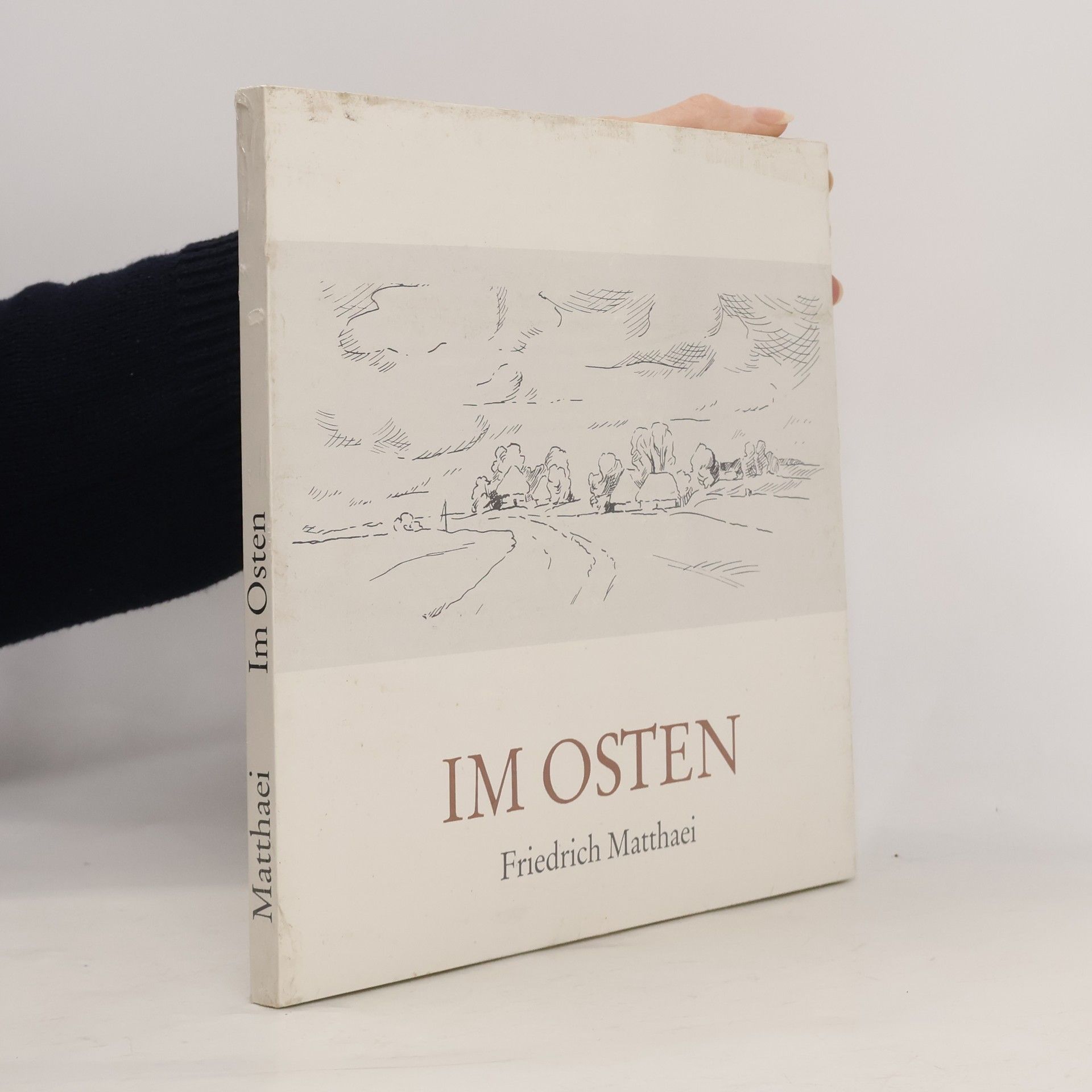 Friedrich Matthaei Im Osten