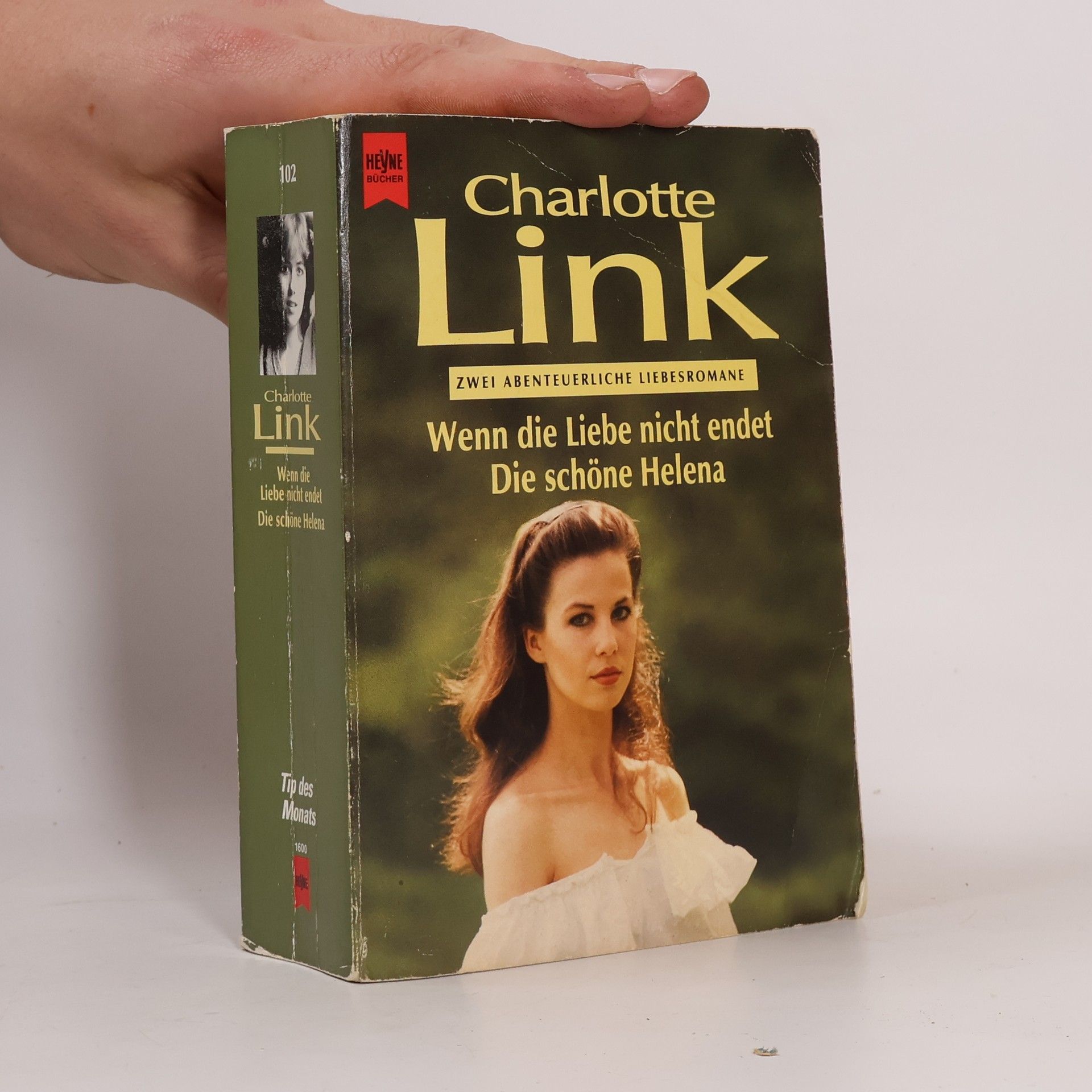 Charlotte Link Wenn die Liebe nicht endet