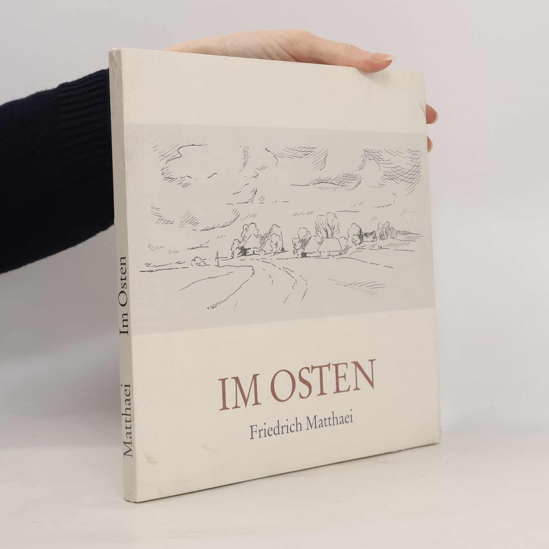 Friedrich Matthaei Im Osten