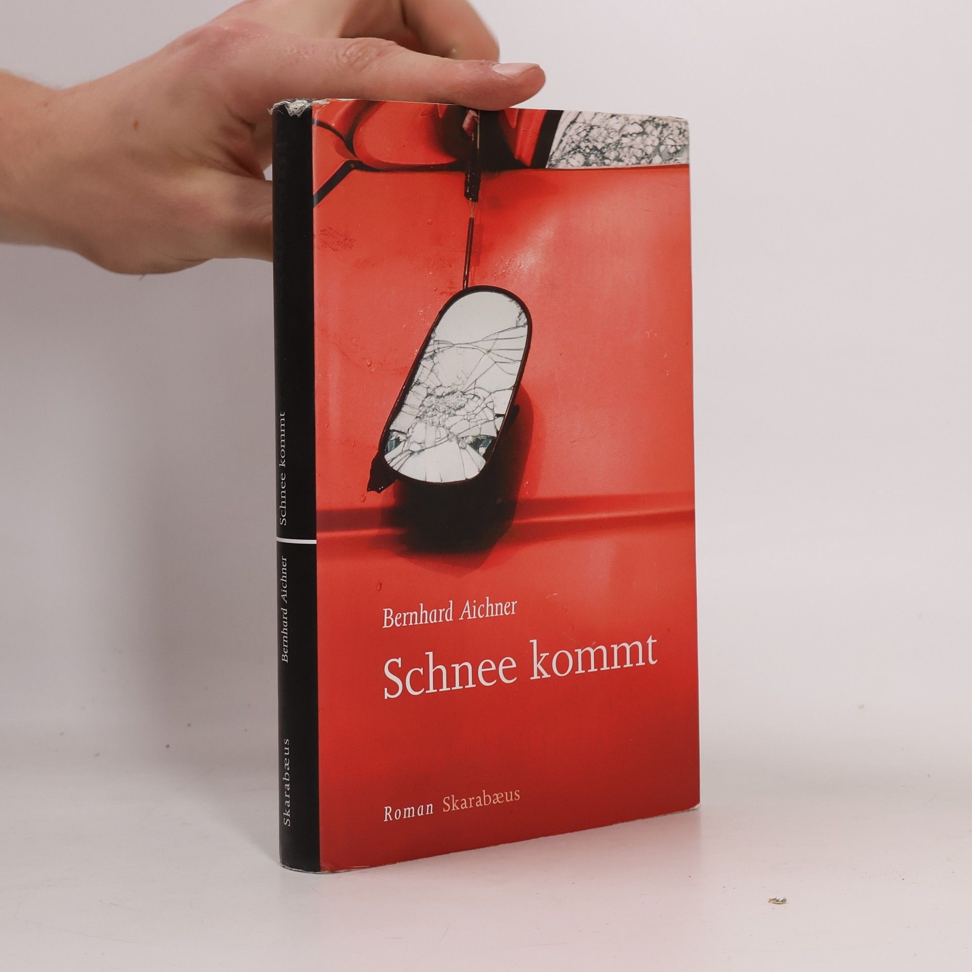 Bernhard Aichner Schnee kommt