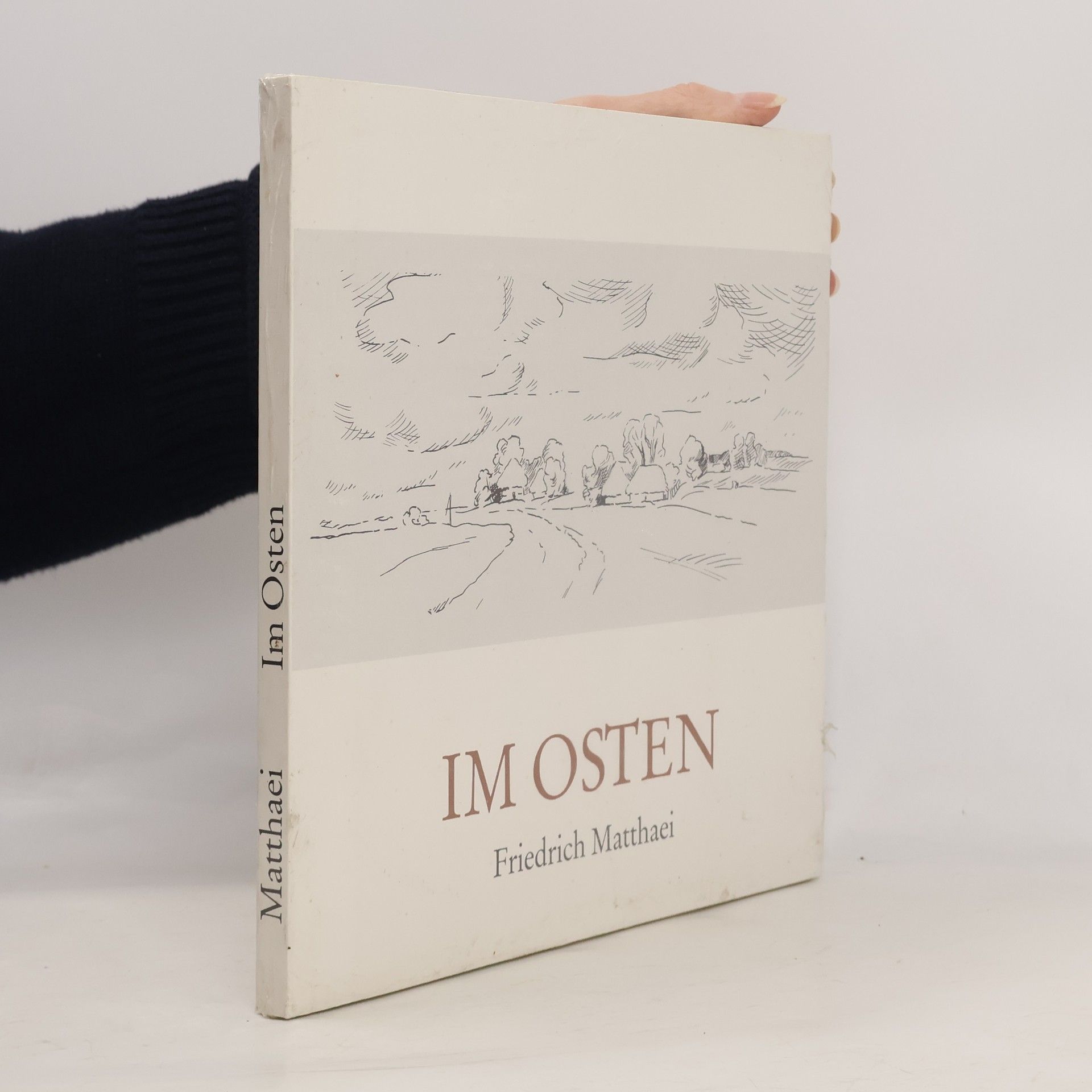 Friedrich Matthaei Im Osten